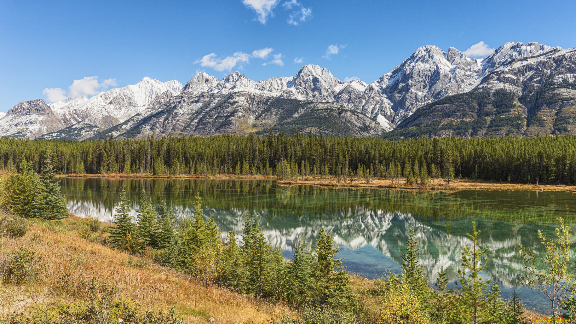 природа, реки, озера, лес, река