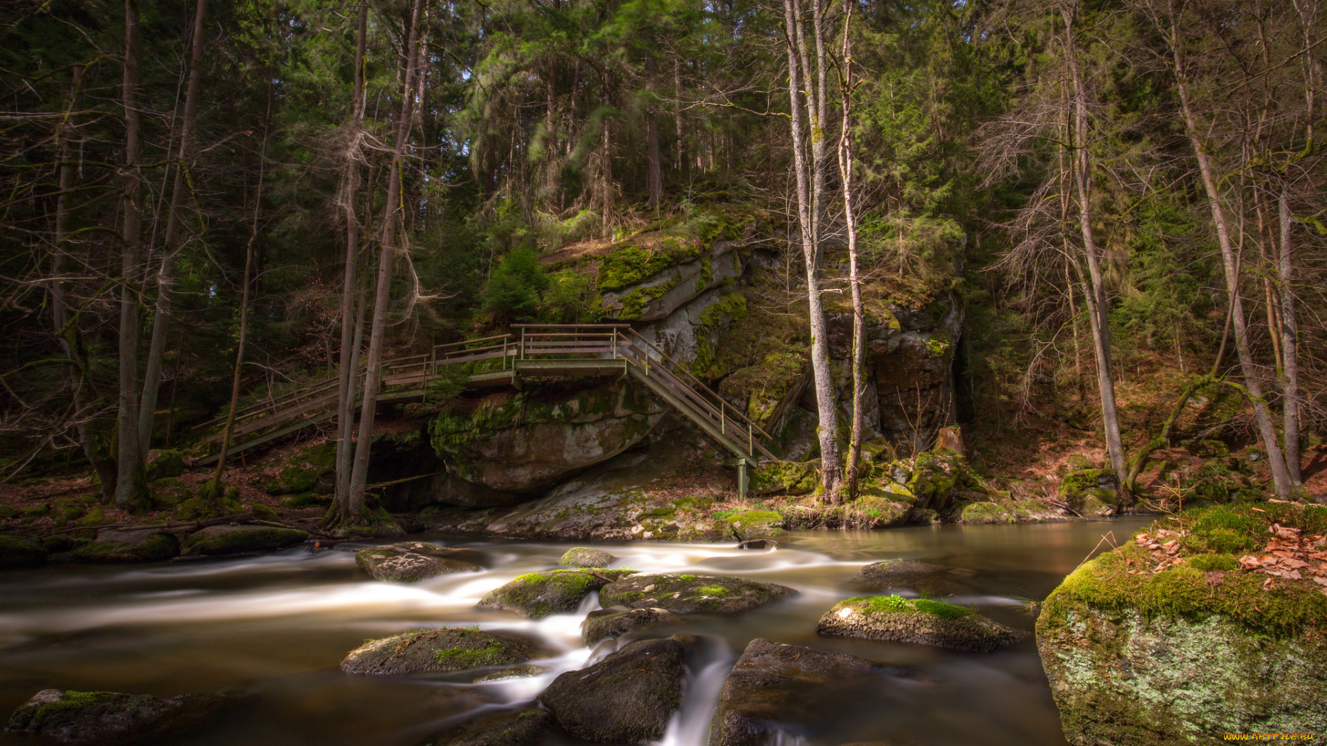 природа, реки, озера, лес, река