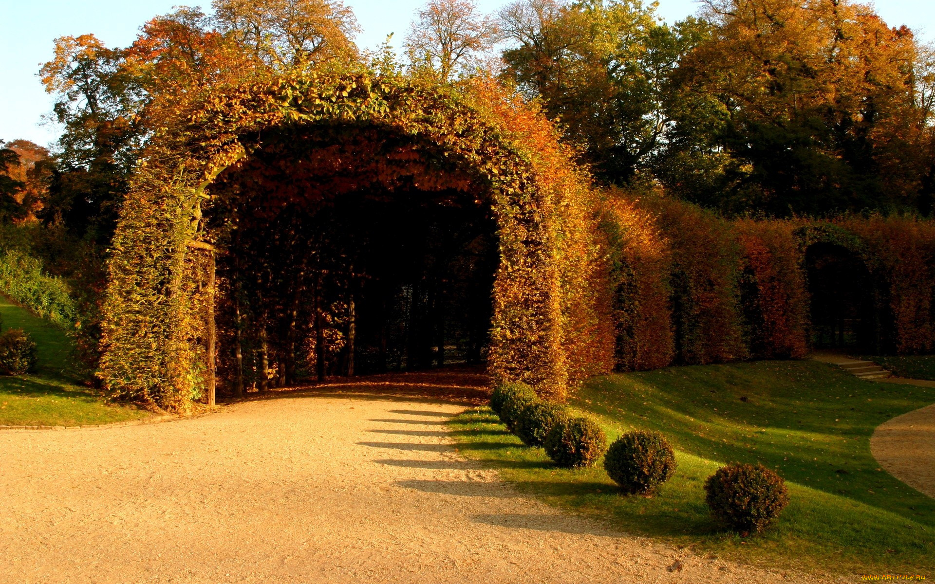 природа, парк, туннель