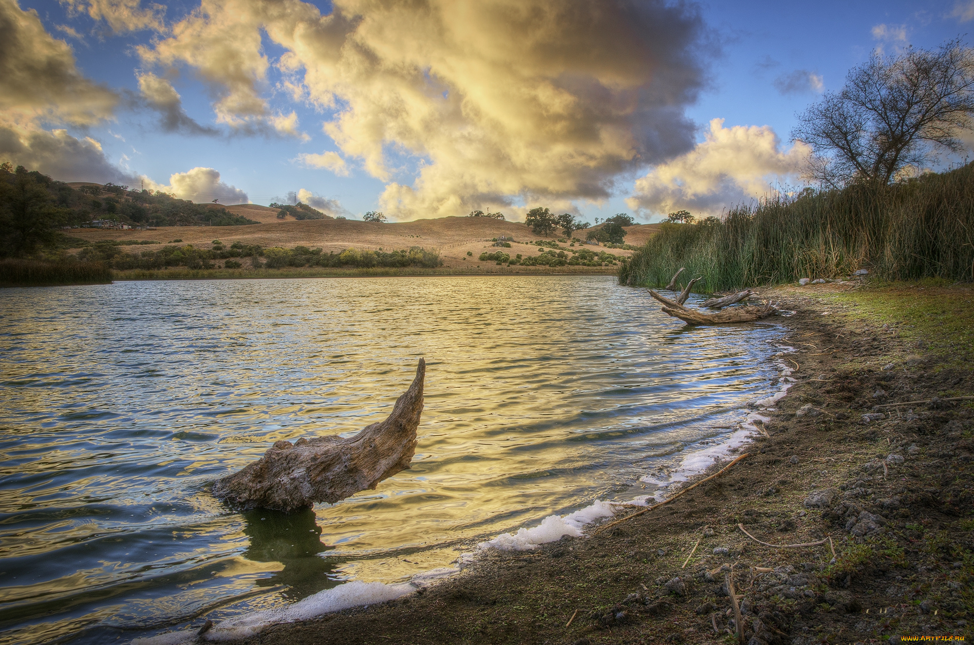 природа, реки, озера, лес, река