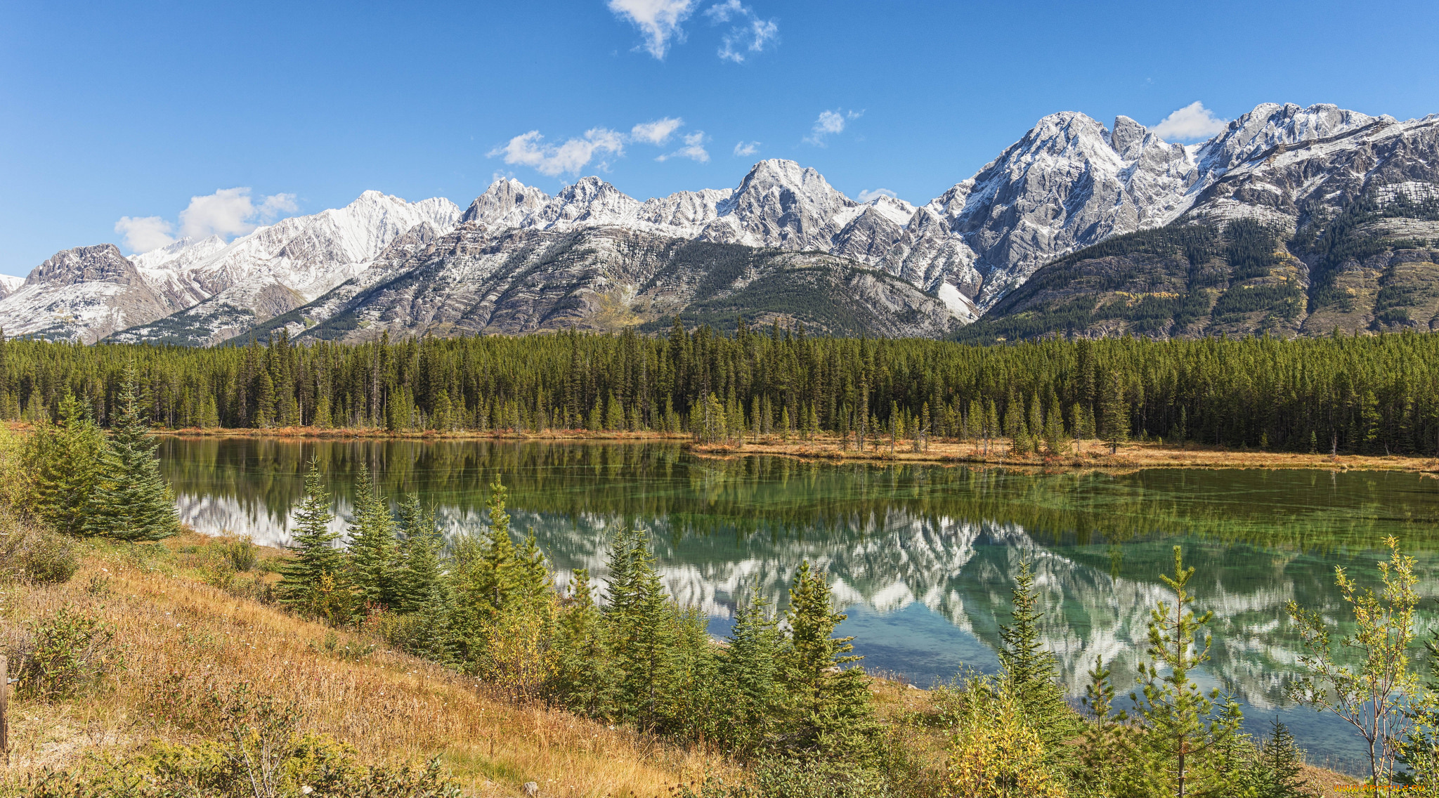 природа, реки, озера, лес, река