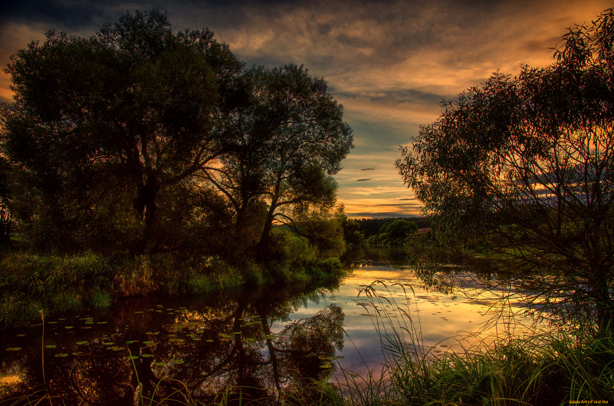 природа, реки, озера, лес, река