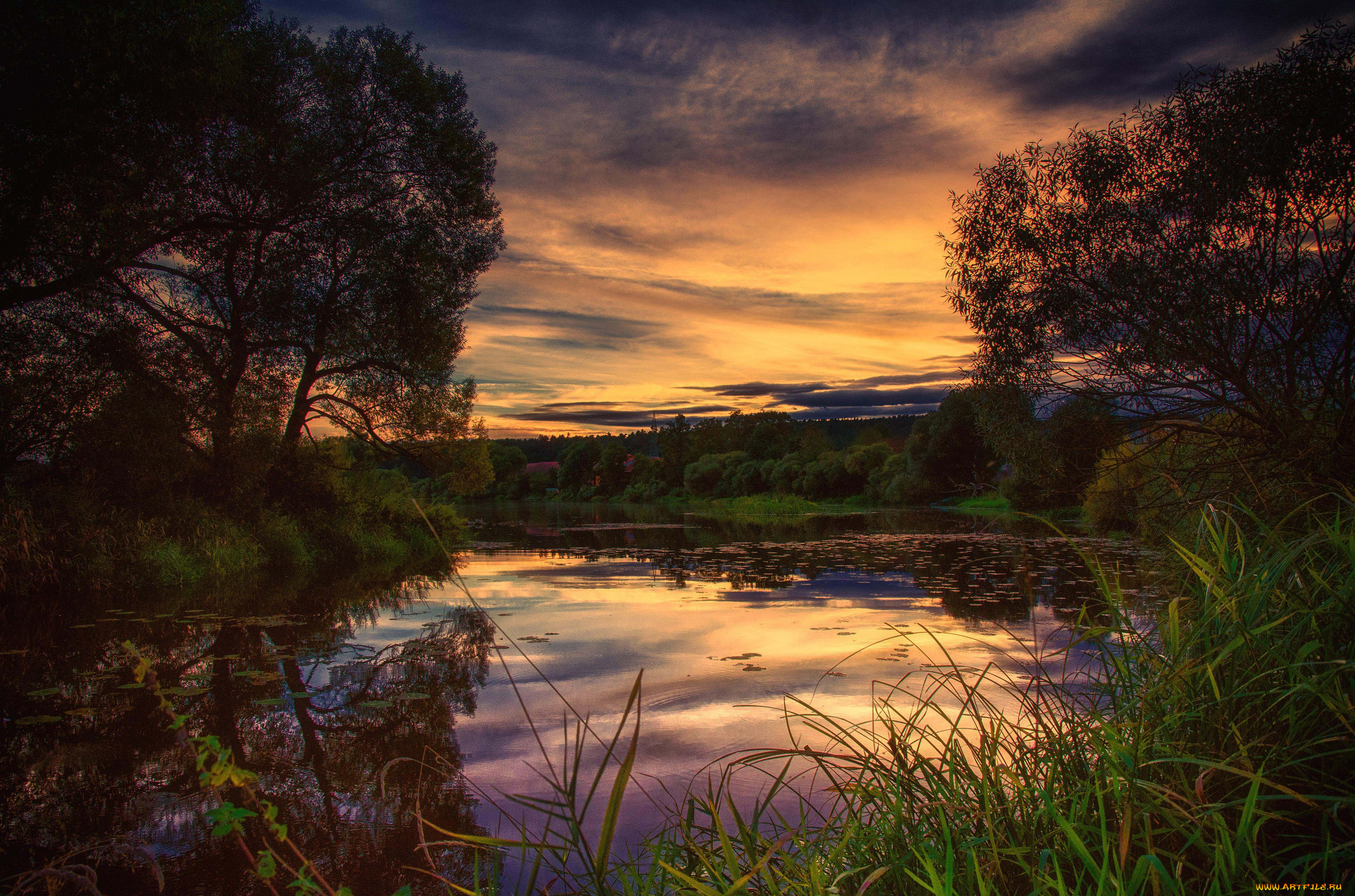 природа, реки, озера, лес, река