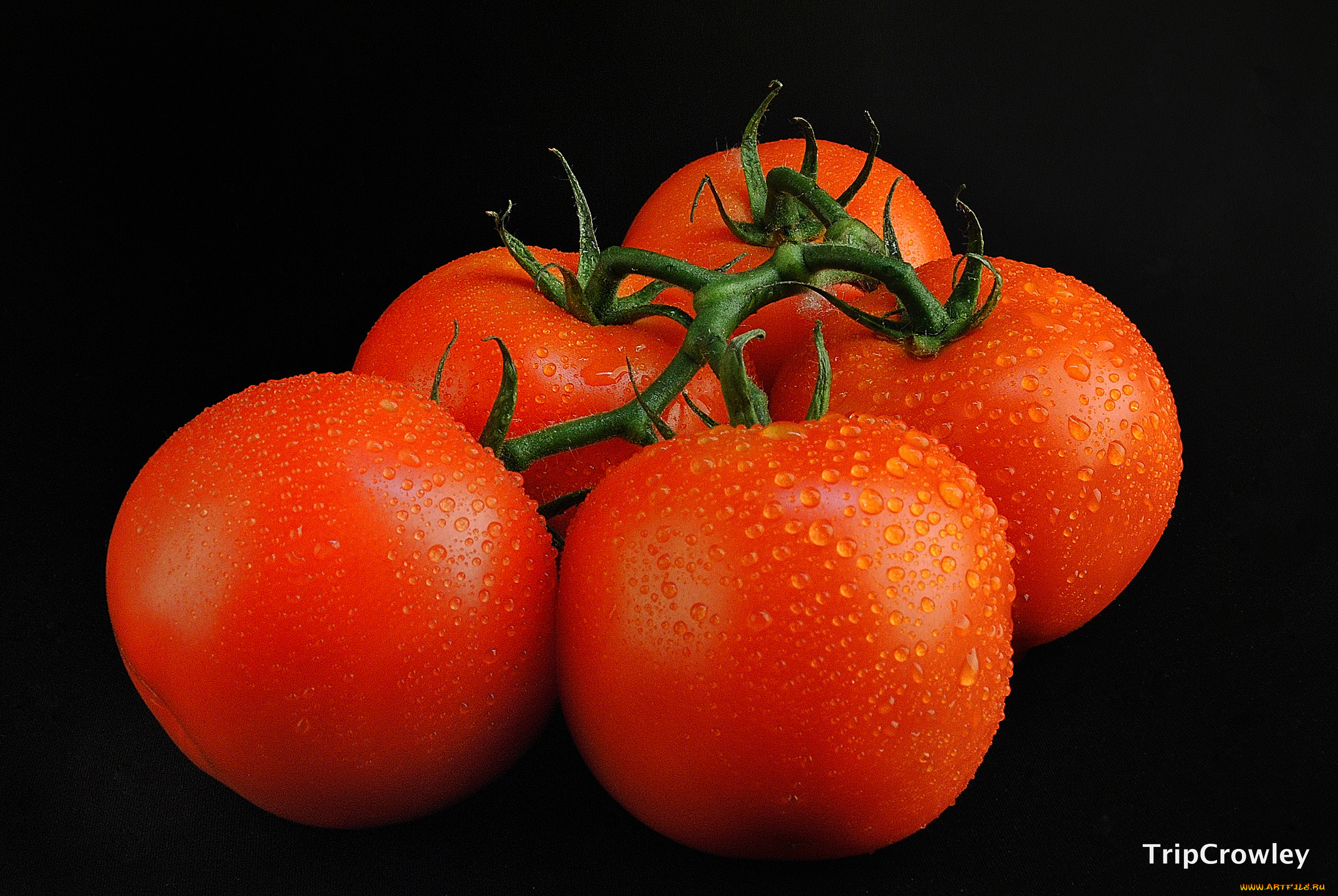 еда, помидоры, томаты