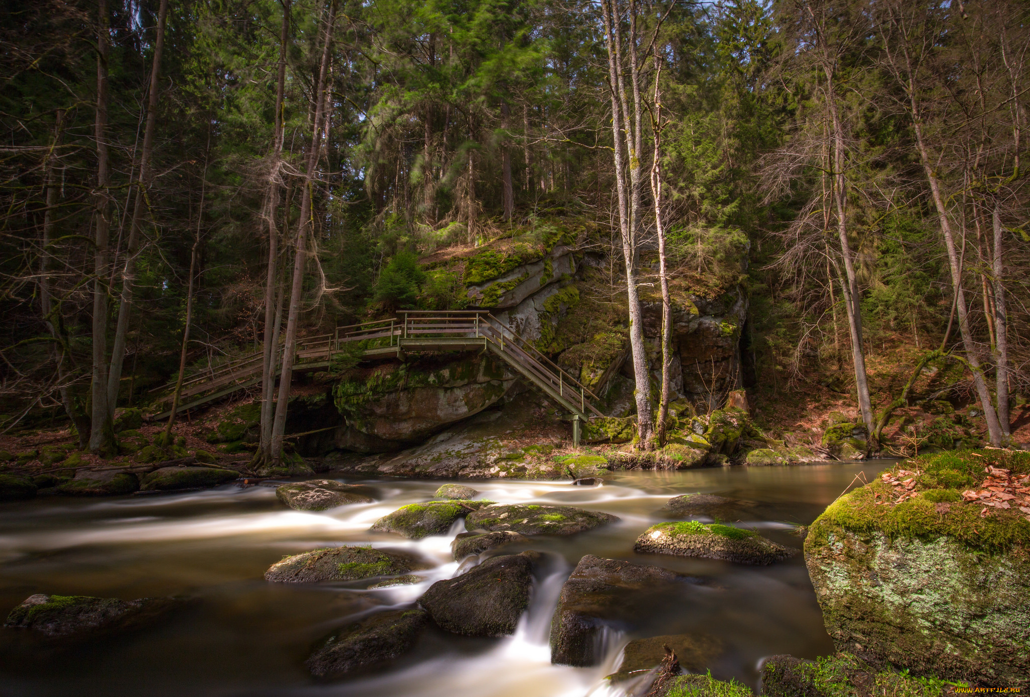 природа, реки, озера, лес, река