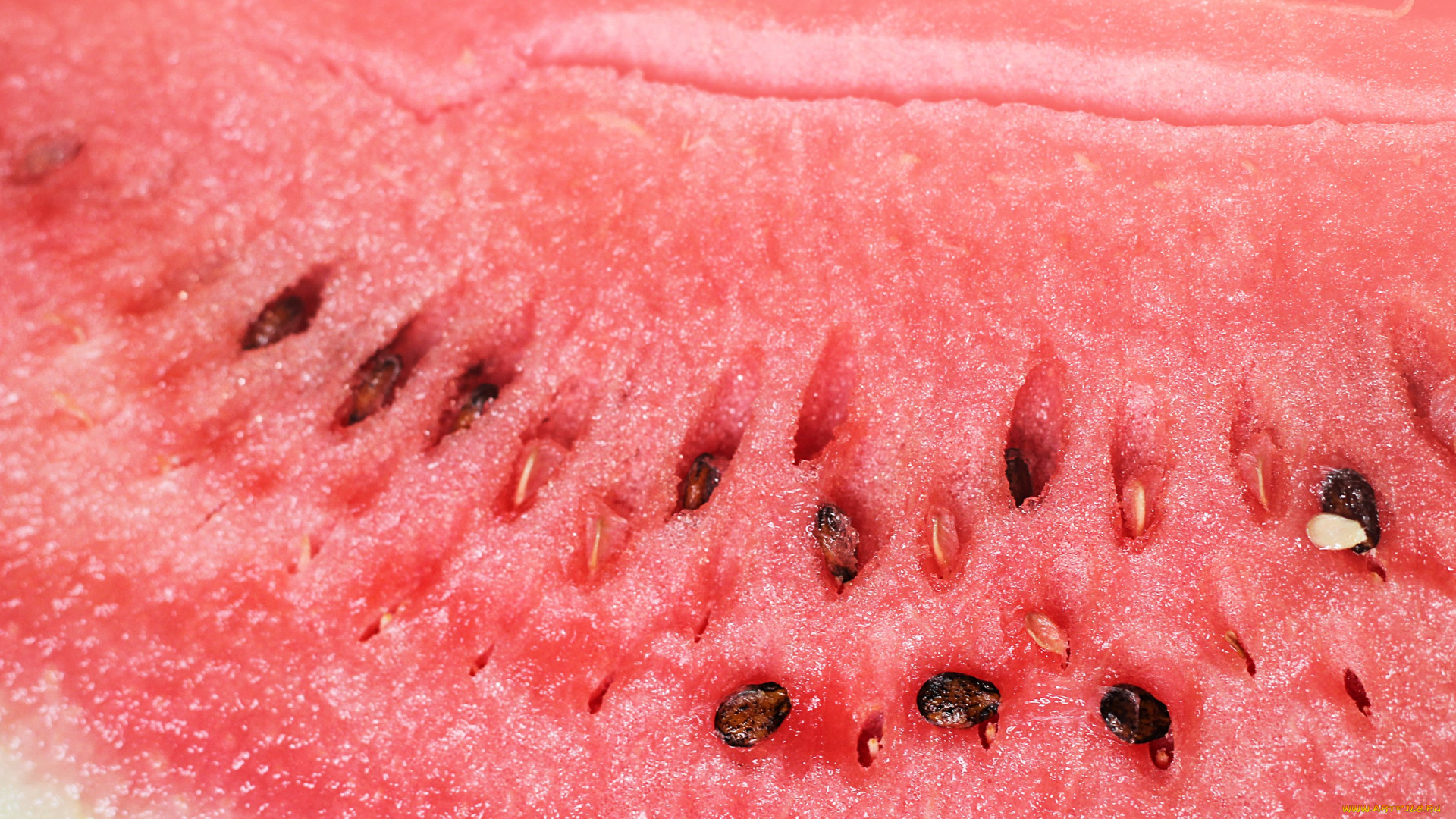 еда, арбуз, сочный