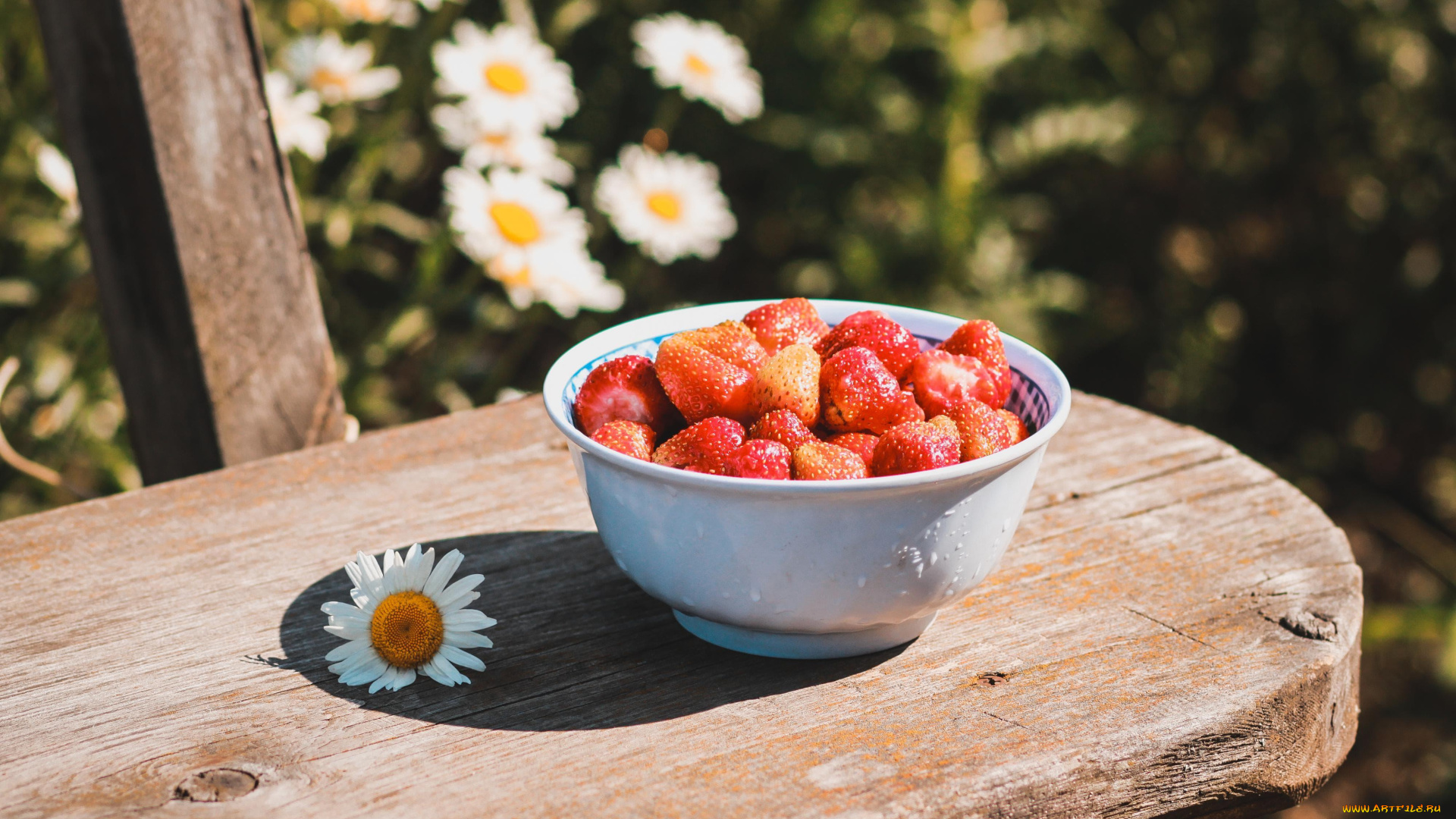 еда, клубника, , земляника, ромашки, тарелка, скамейка, ягоды