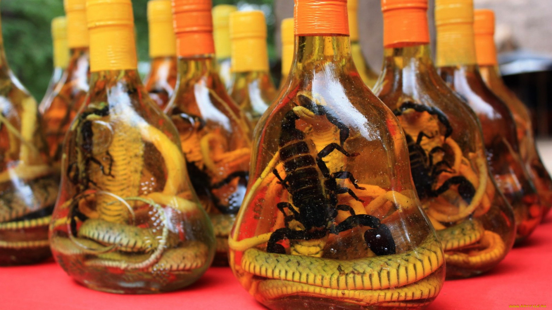 еда, напитки, экзотические