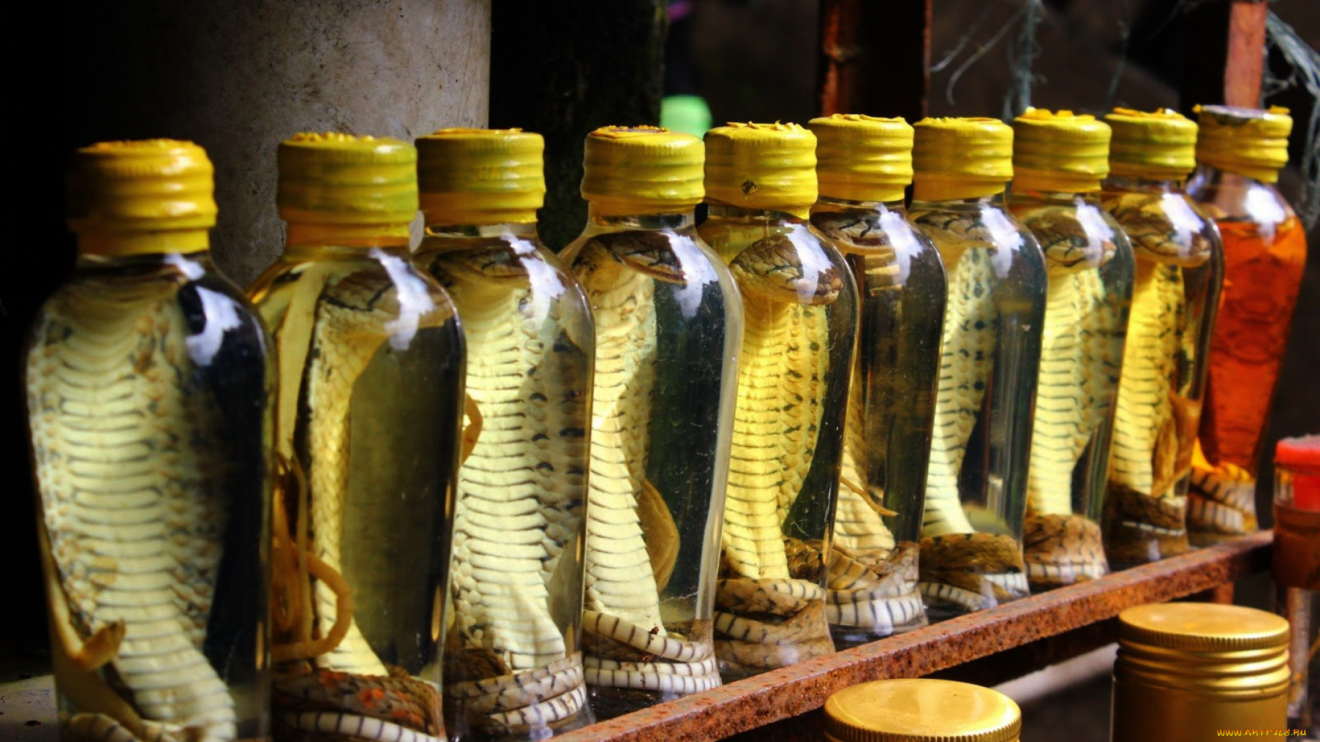 еда, напитки, экзотические