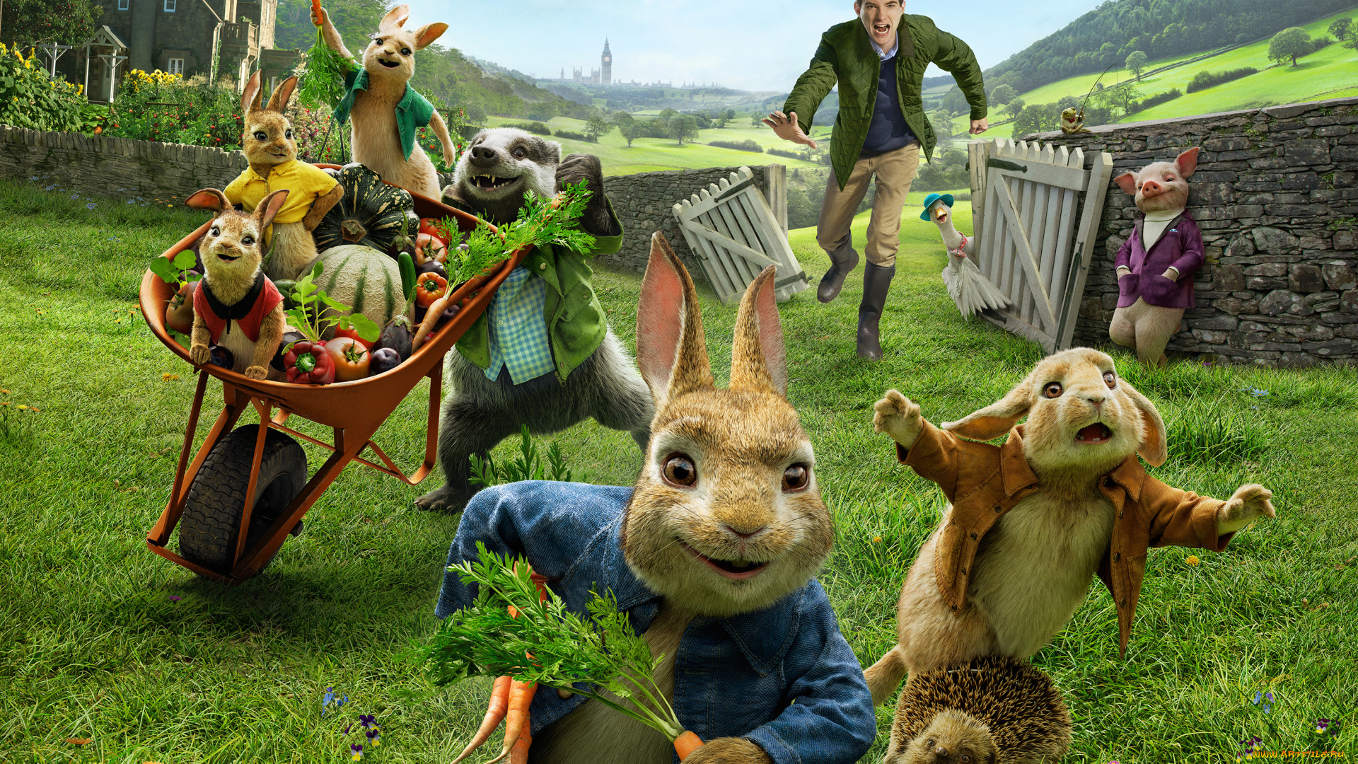 кино, фильмы, peter, rabbit, peter, rabbit