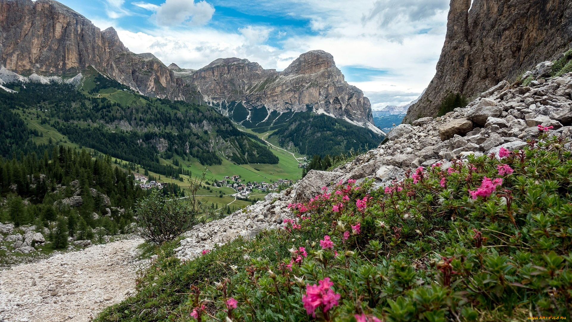 природа, горы, цветы, долина