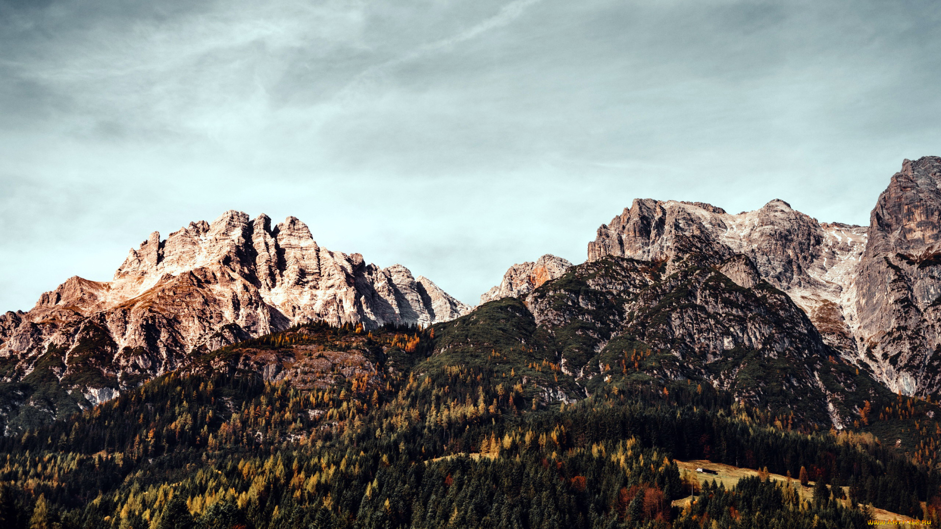 природа, горы, вершины, лес