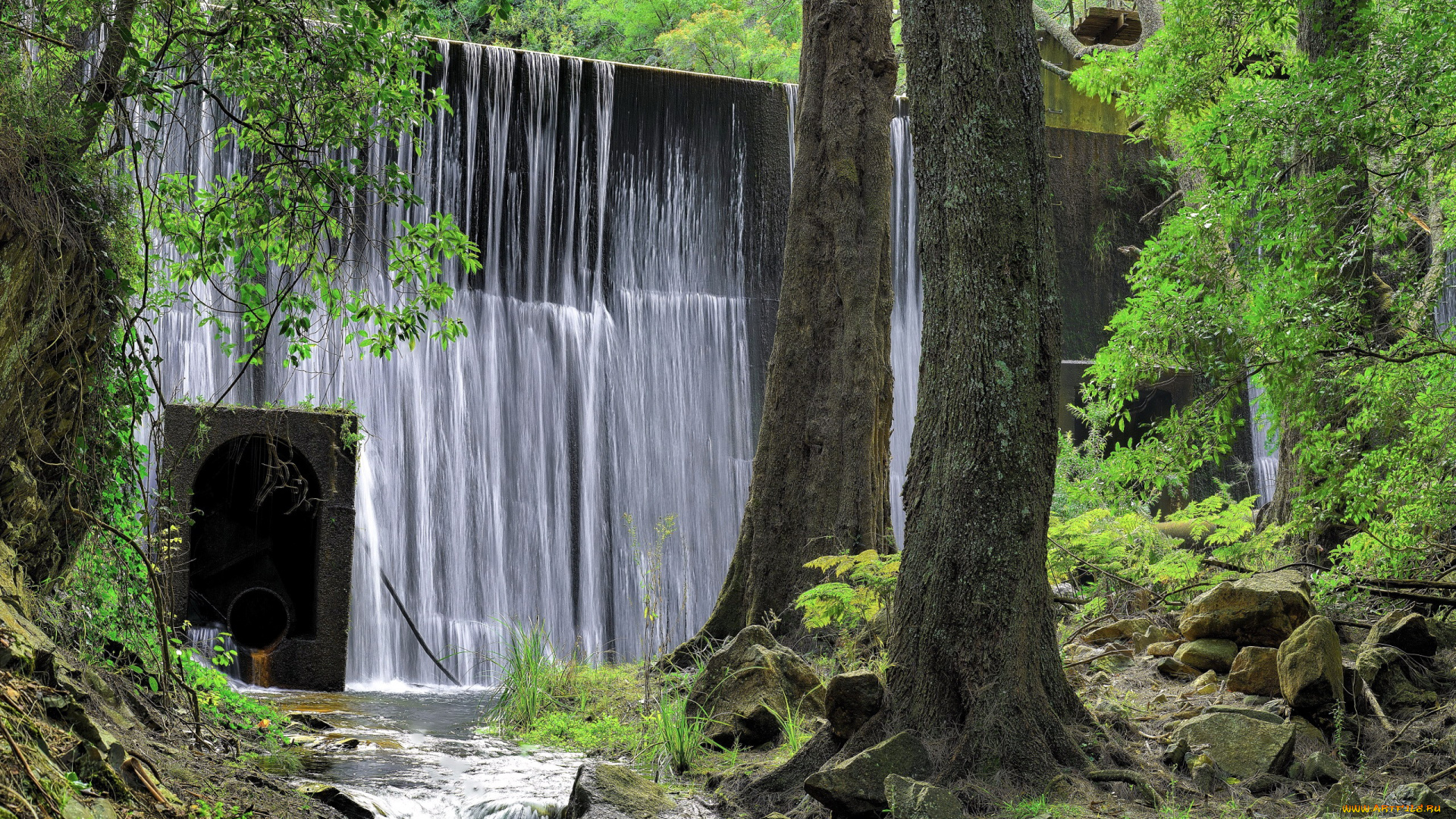 природа, водопады, камни, водопад, деревья