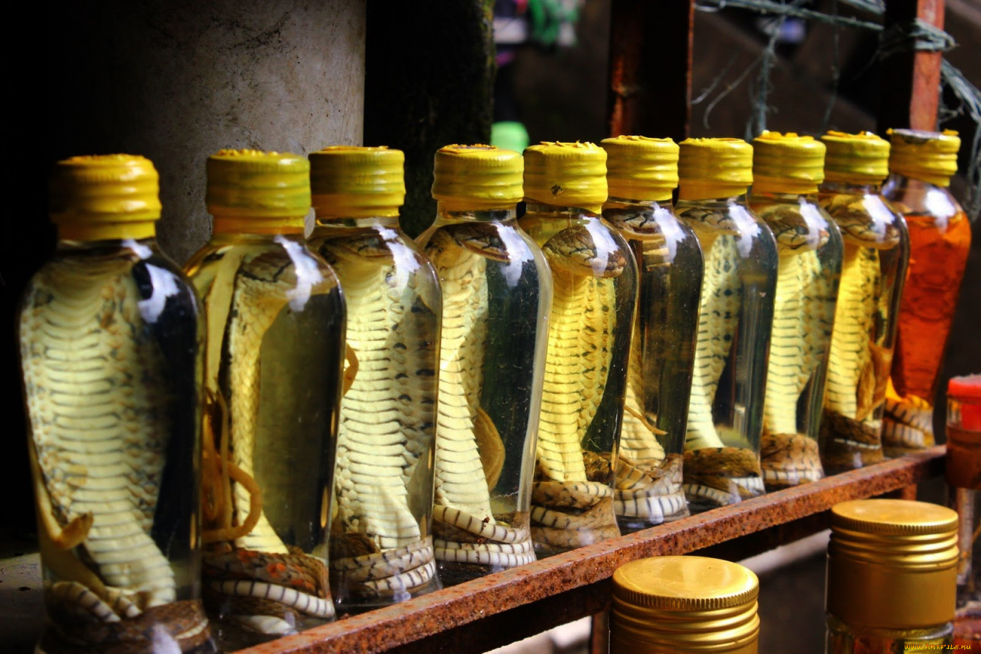 еда, напитки, экзотические