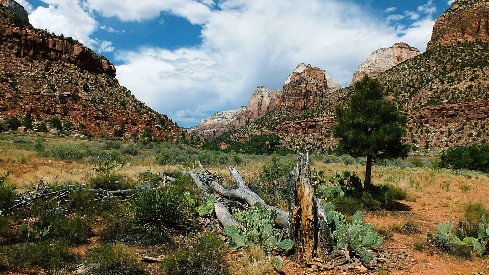 природа, горы, простор