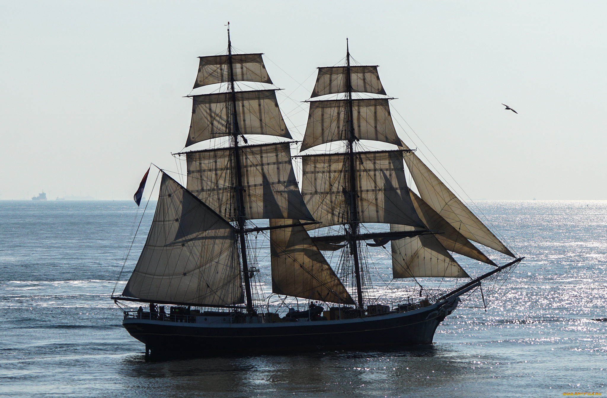 корабли, парусники, паруса, мачты