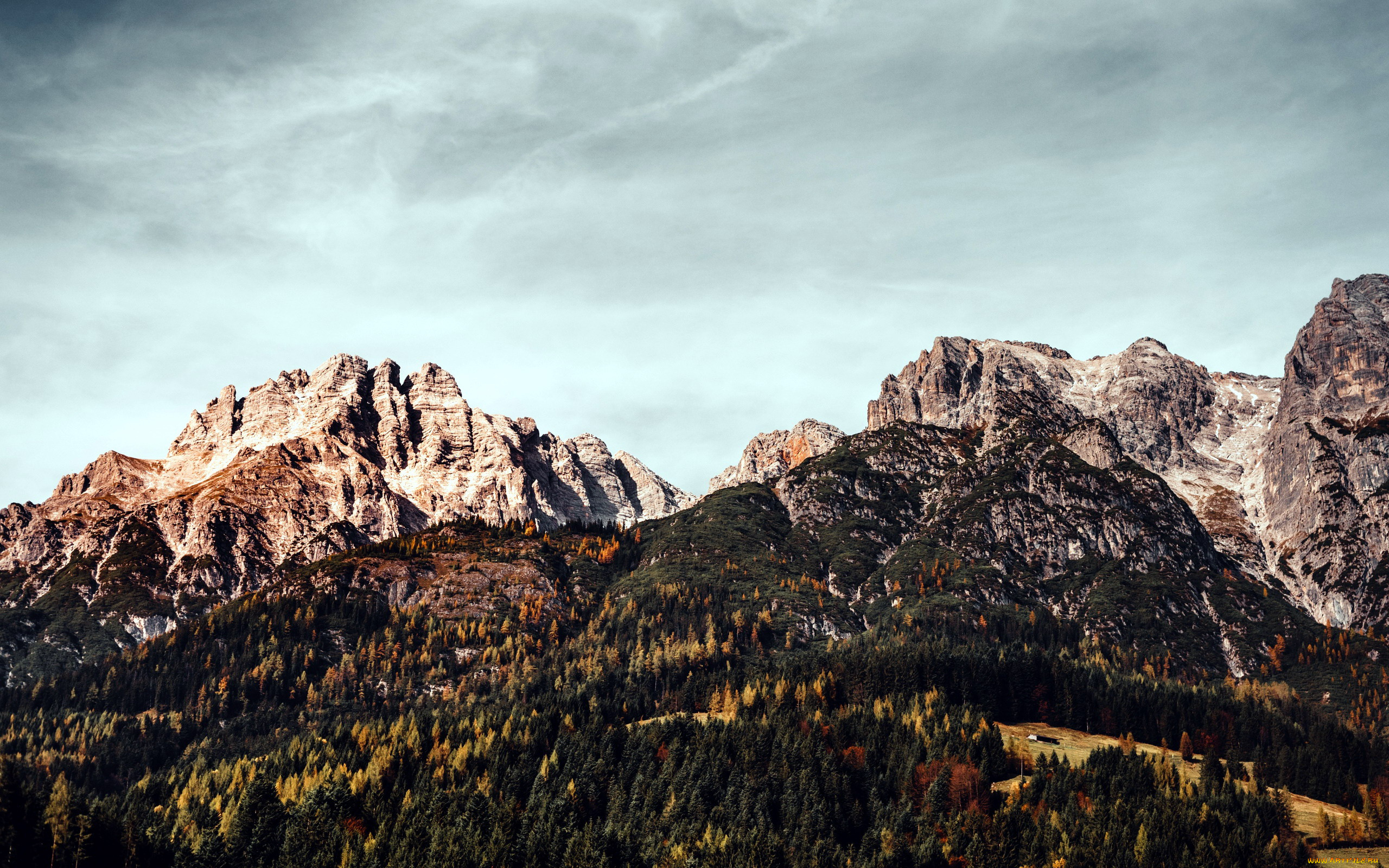 природа, горы, вершины, лес