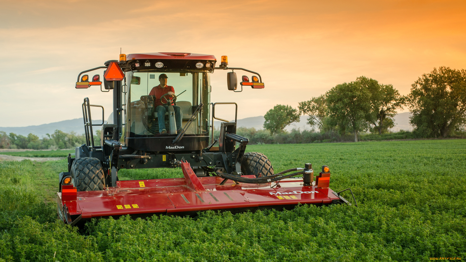 техника, комбайны, macdon
