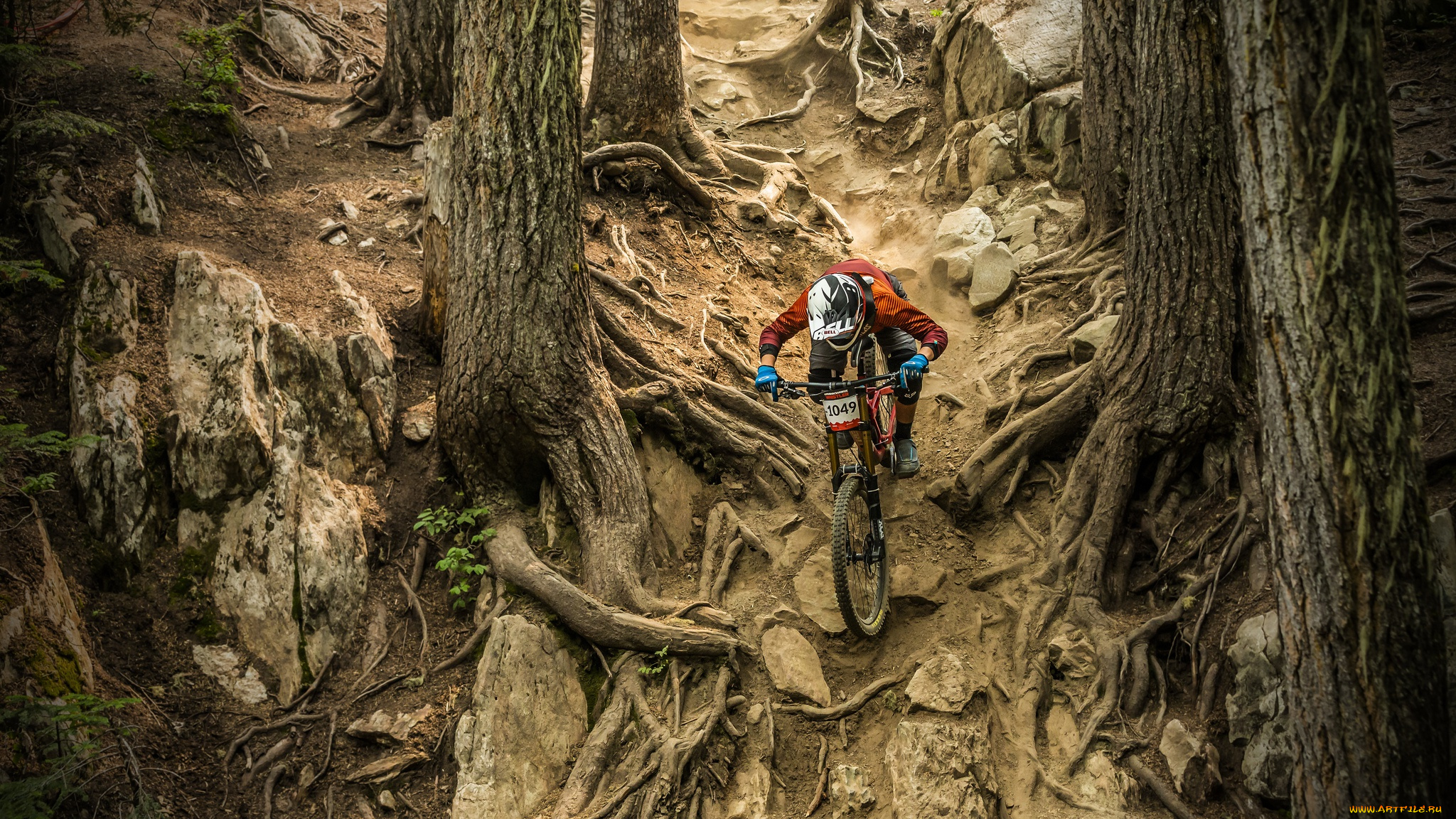 спорт, велоспорт, трасса, гонка