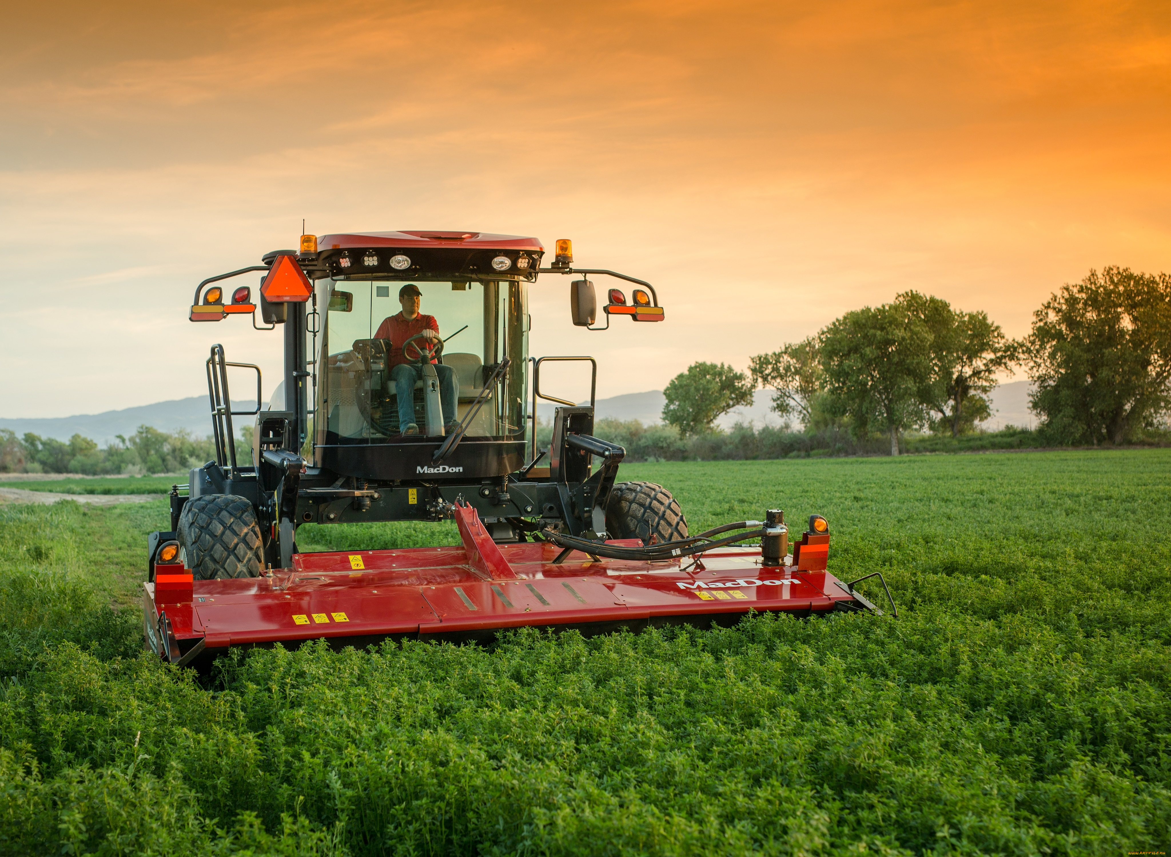 техника, комбайны, macdon