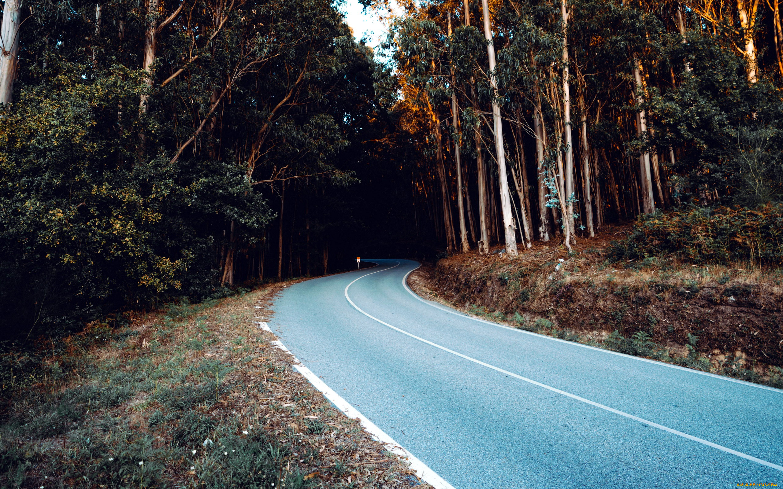 природа, дороги, шоссе