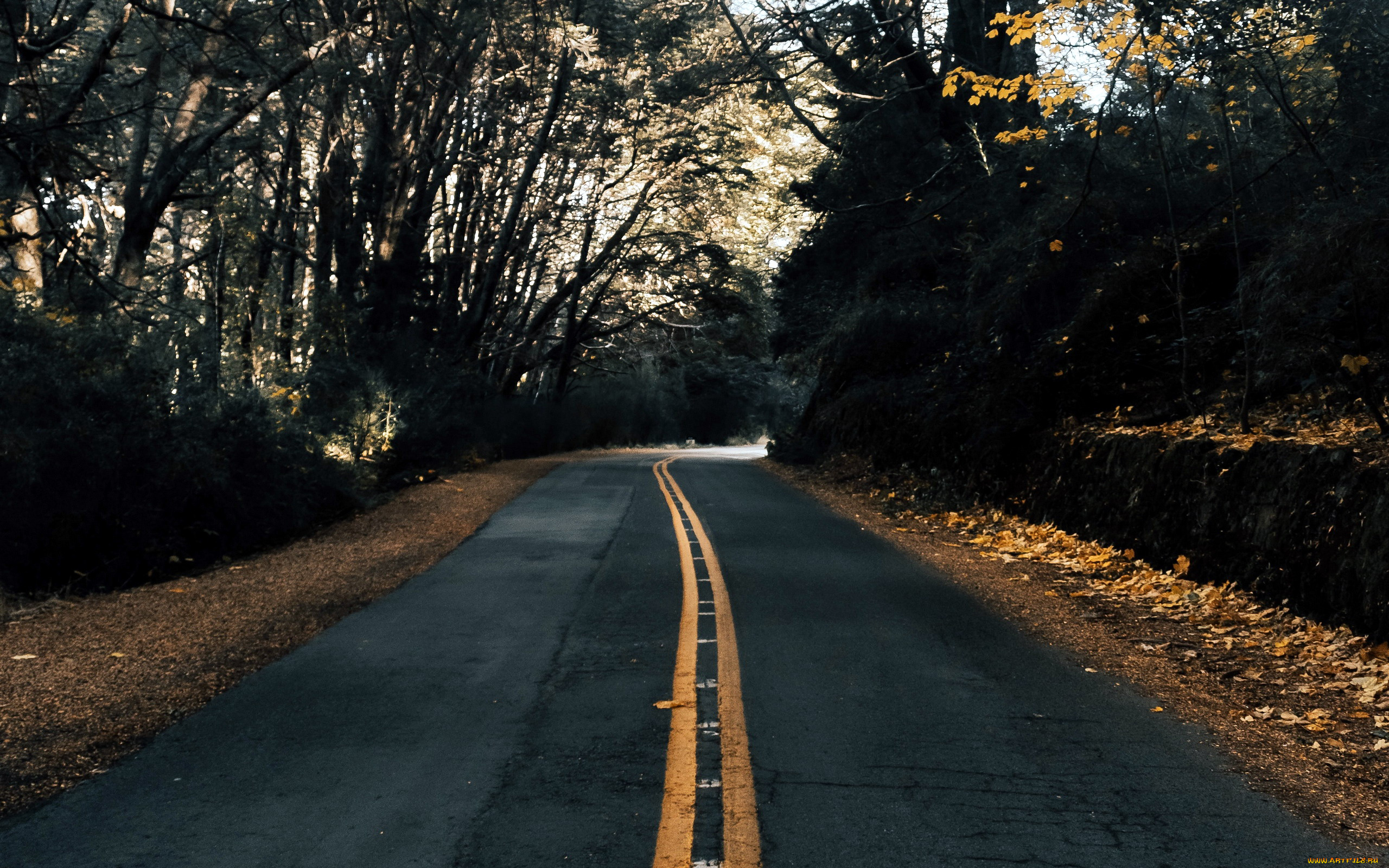 природа, дороги, шоссе