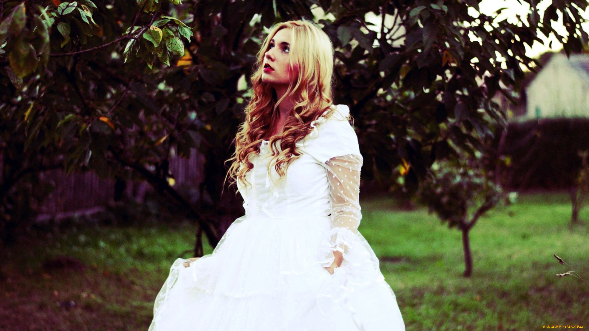 девушки, -, блондинки, , светловолосые, белое, платье, блондинка, локоны