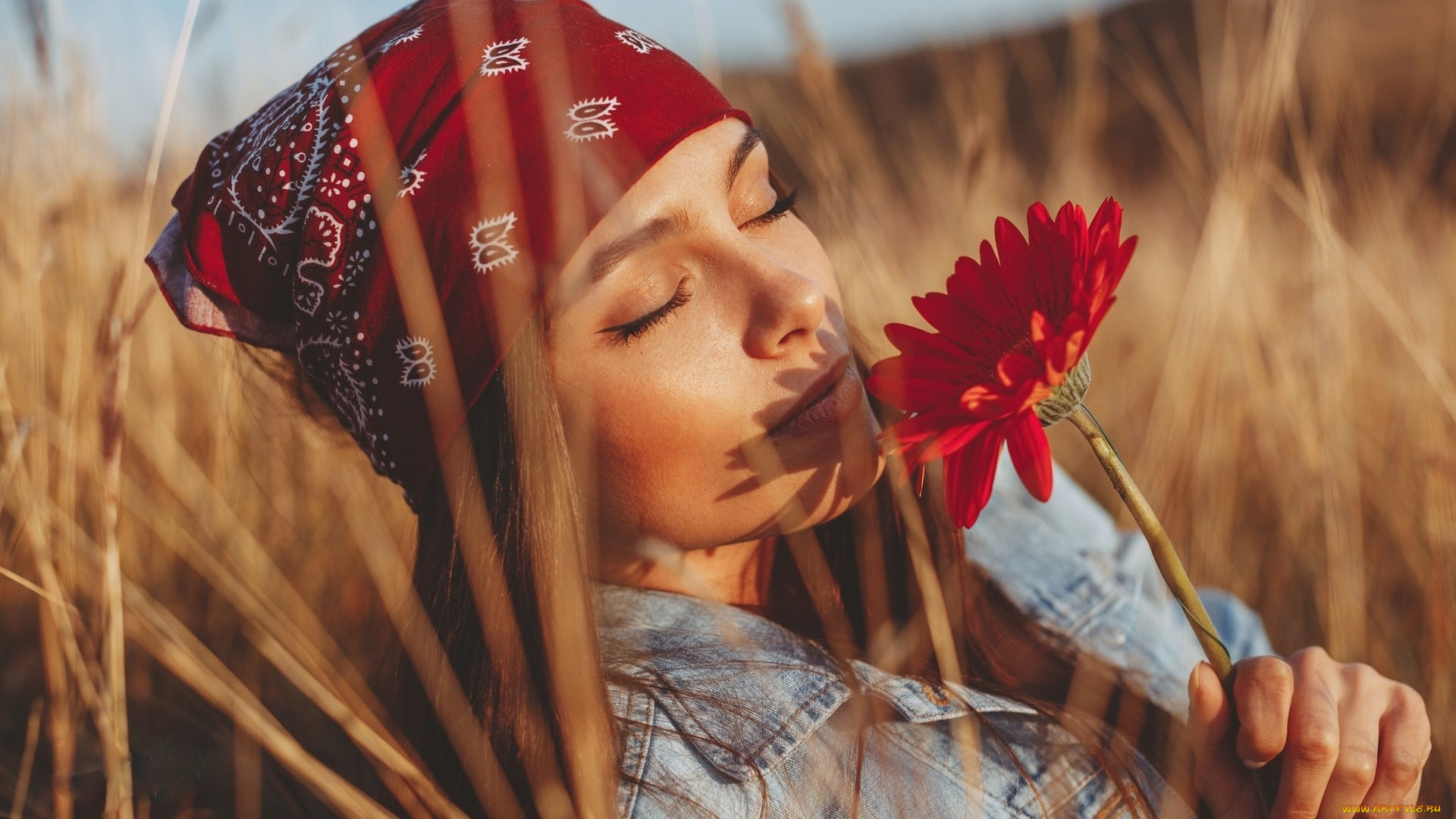 девушки, -, лица, , портреты, платок, шатенка, гербера, закрытые, глаза