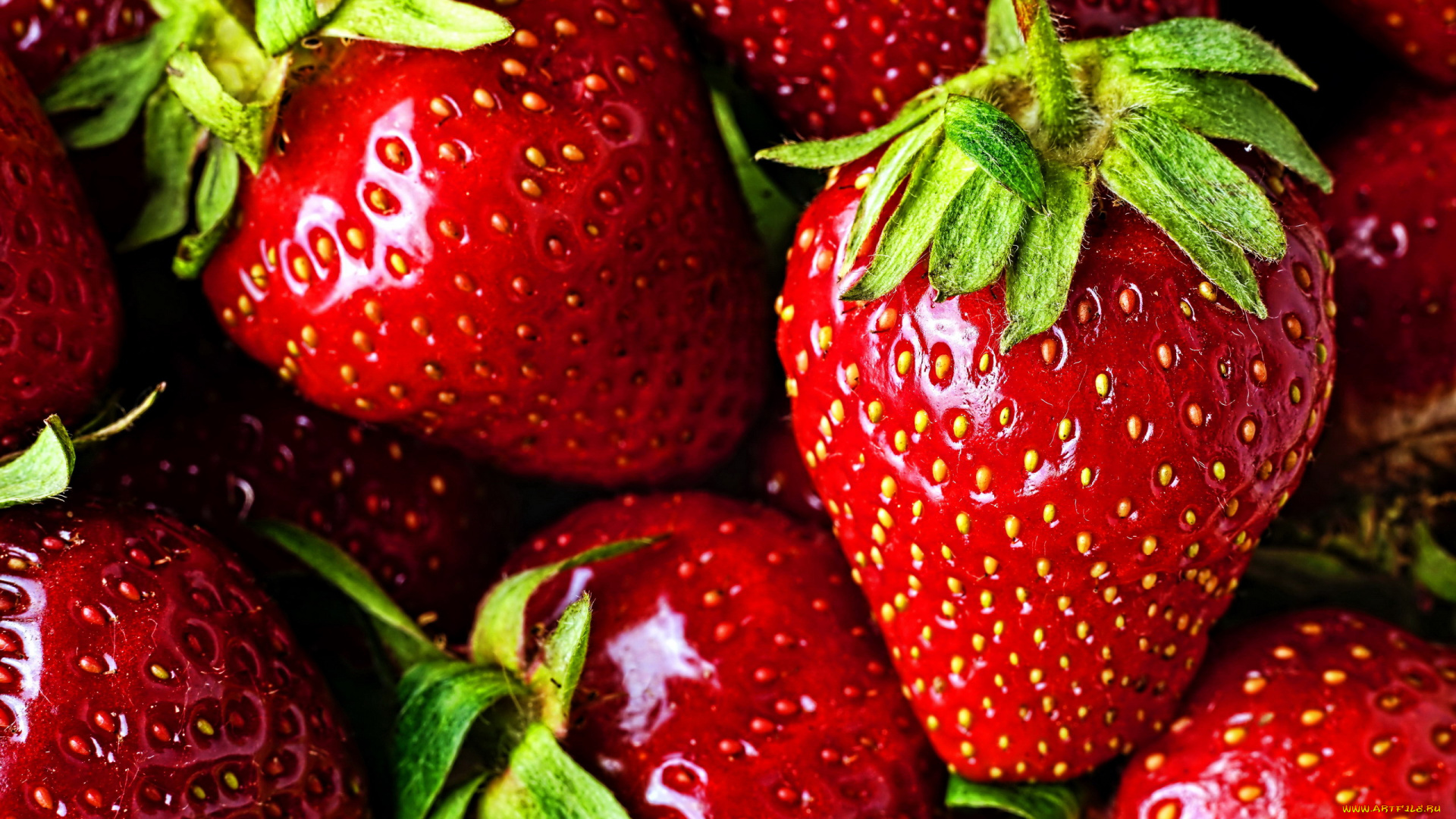 еда, клубника, , земляника, макро