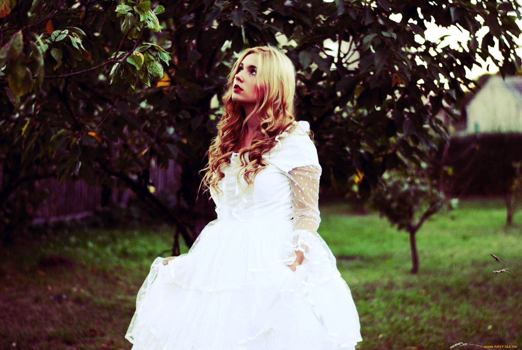 девушки, -, блондинки, , светловолосые, белое, платье, блондинка, локоны