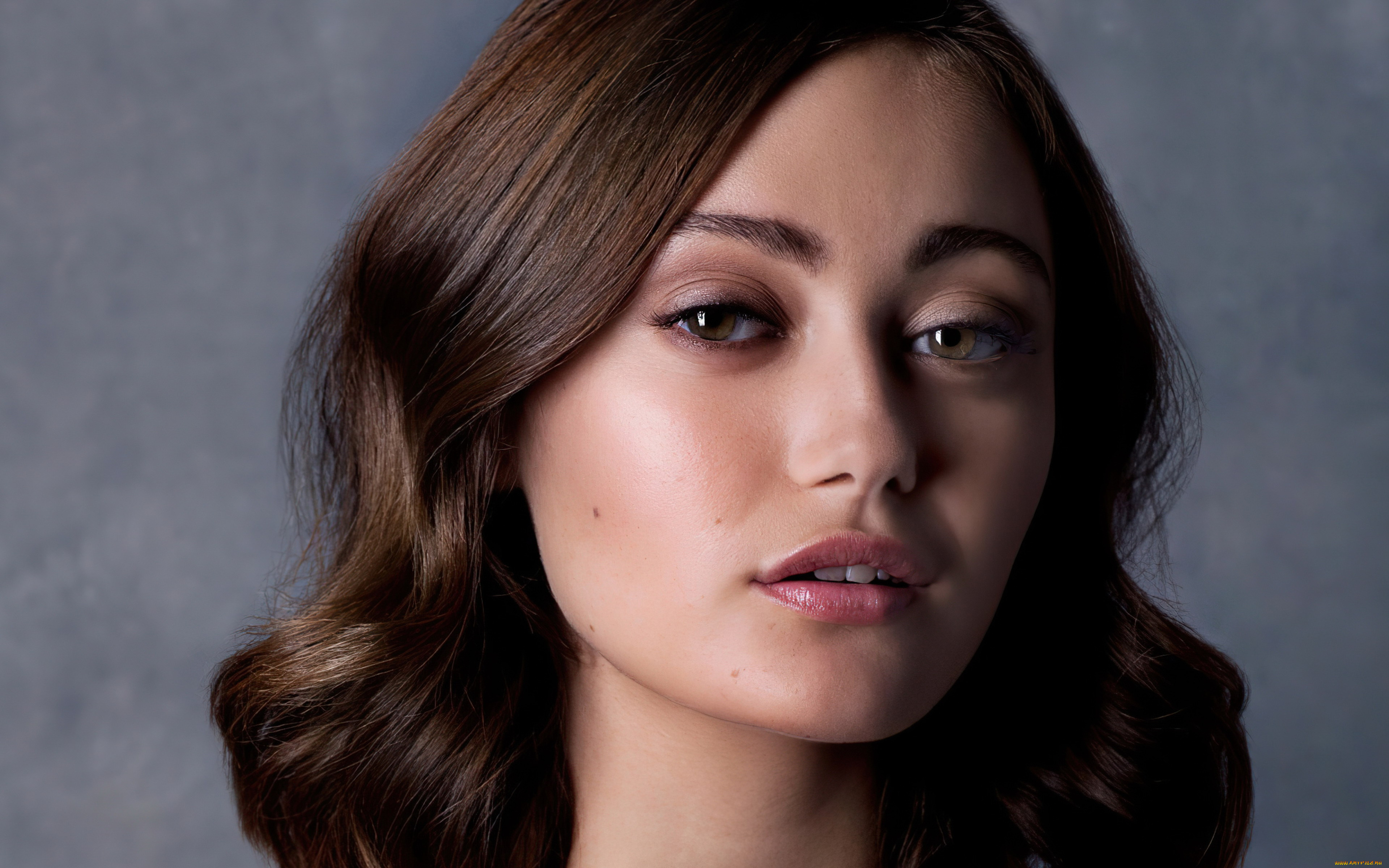 девушки, ella, purnell, актриса, шатенка, лицо