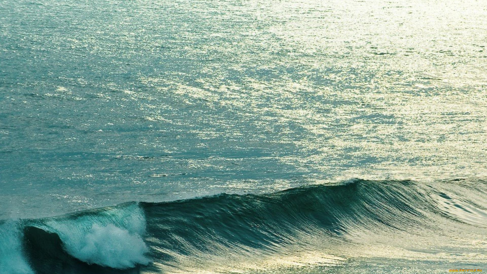 природа, моря, океаны, море, волна