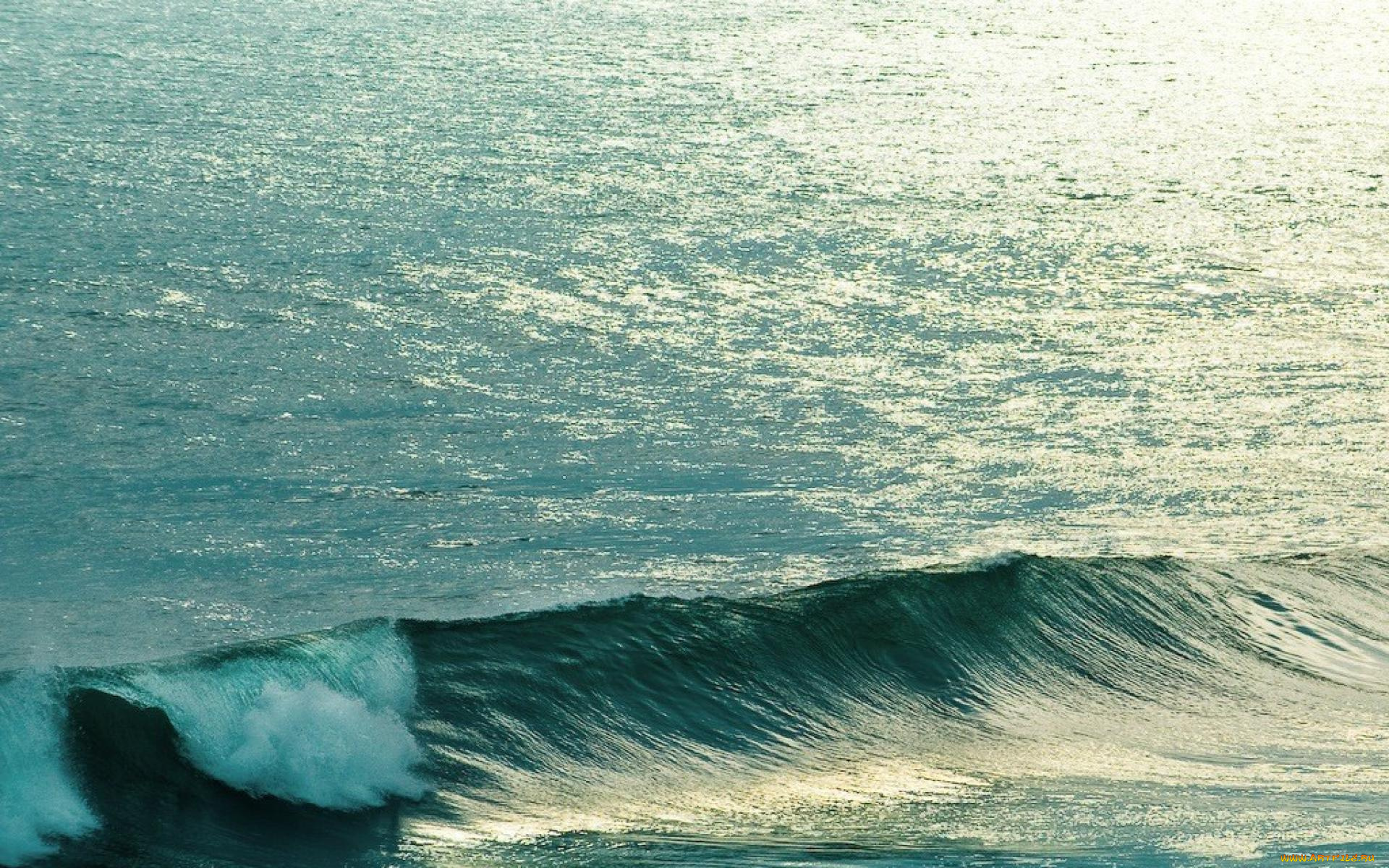 природа, моря, океаны, море, волна