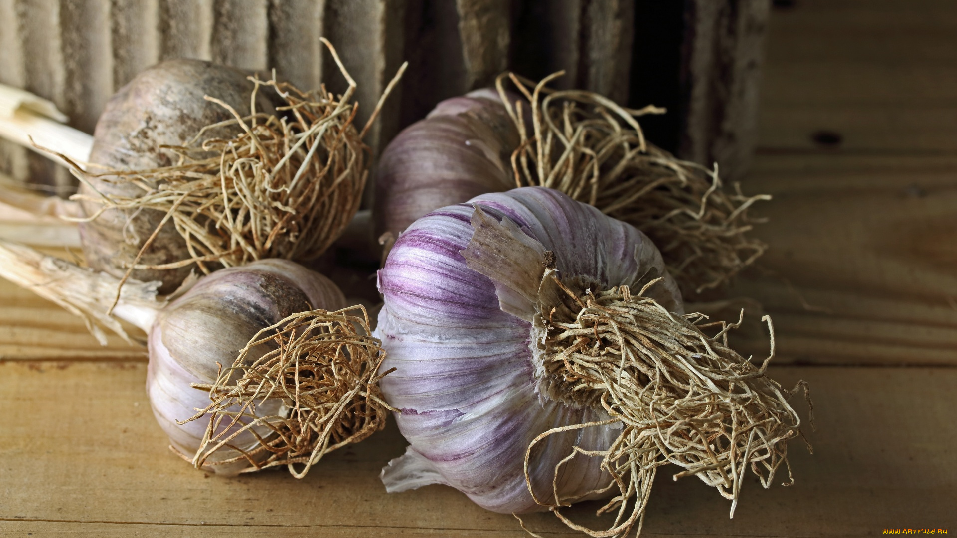 еда, чеснок, крупный, макро