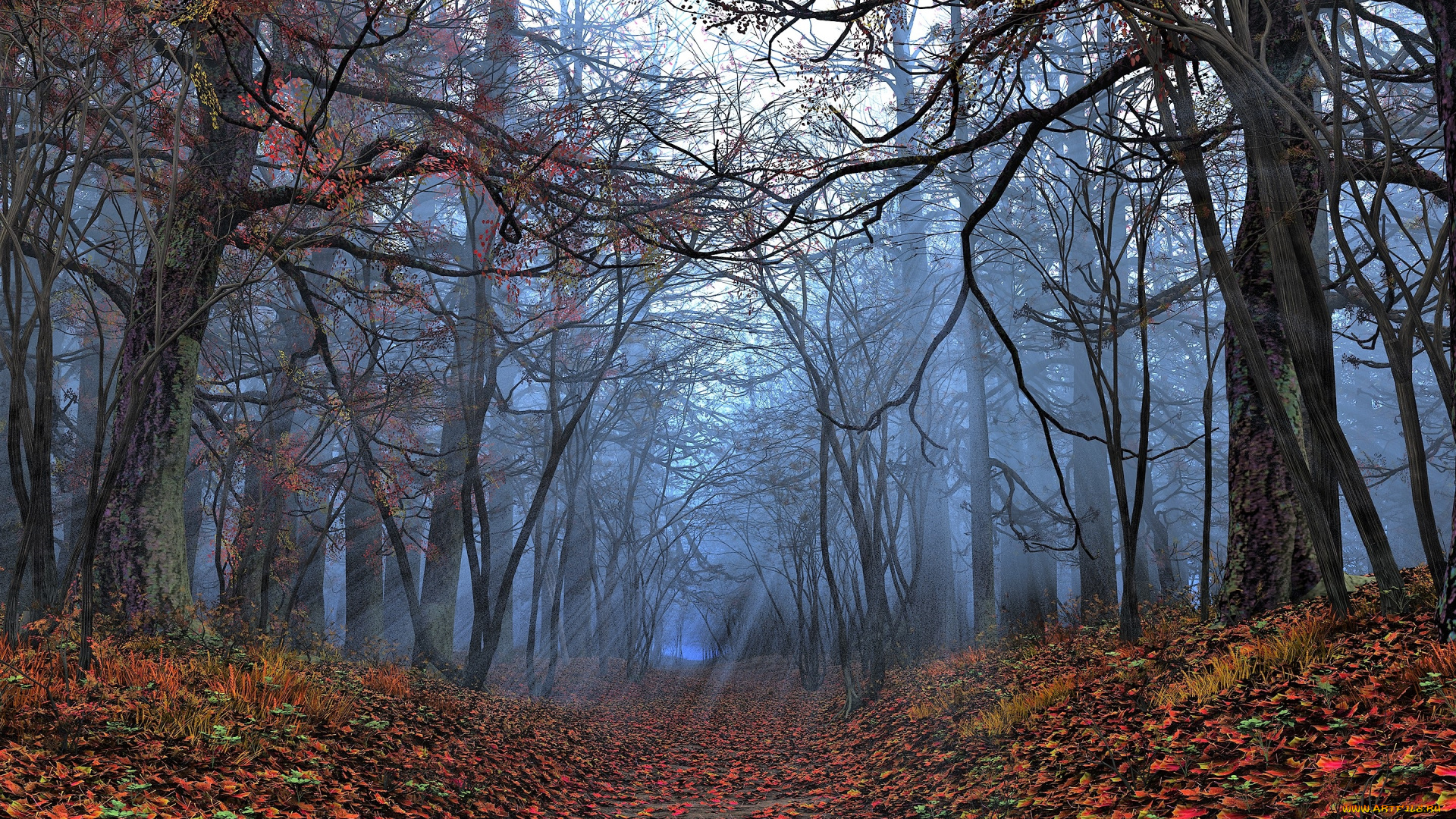 природа, лес, деревья, листья, тропа, осень