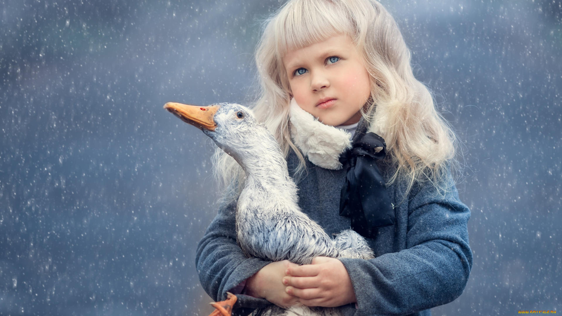 разное, дети, девочка, гусь, снег