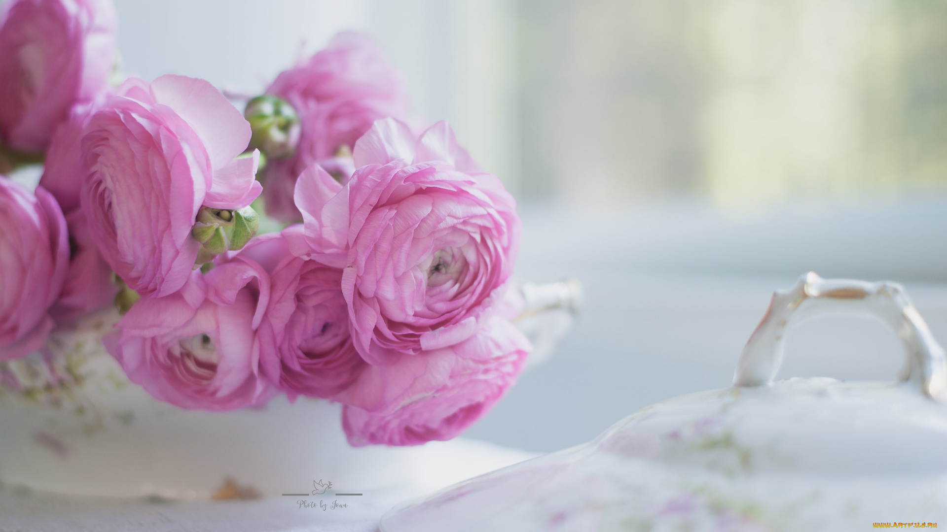 цветы, ранункулюс, , азиатский, лютик, люпин, цветок, ваза, букет