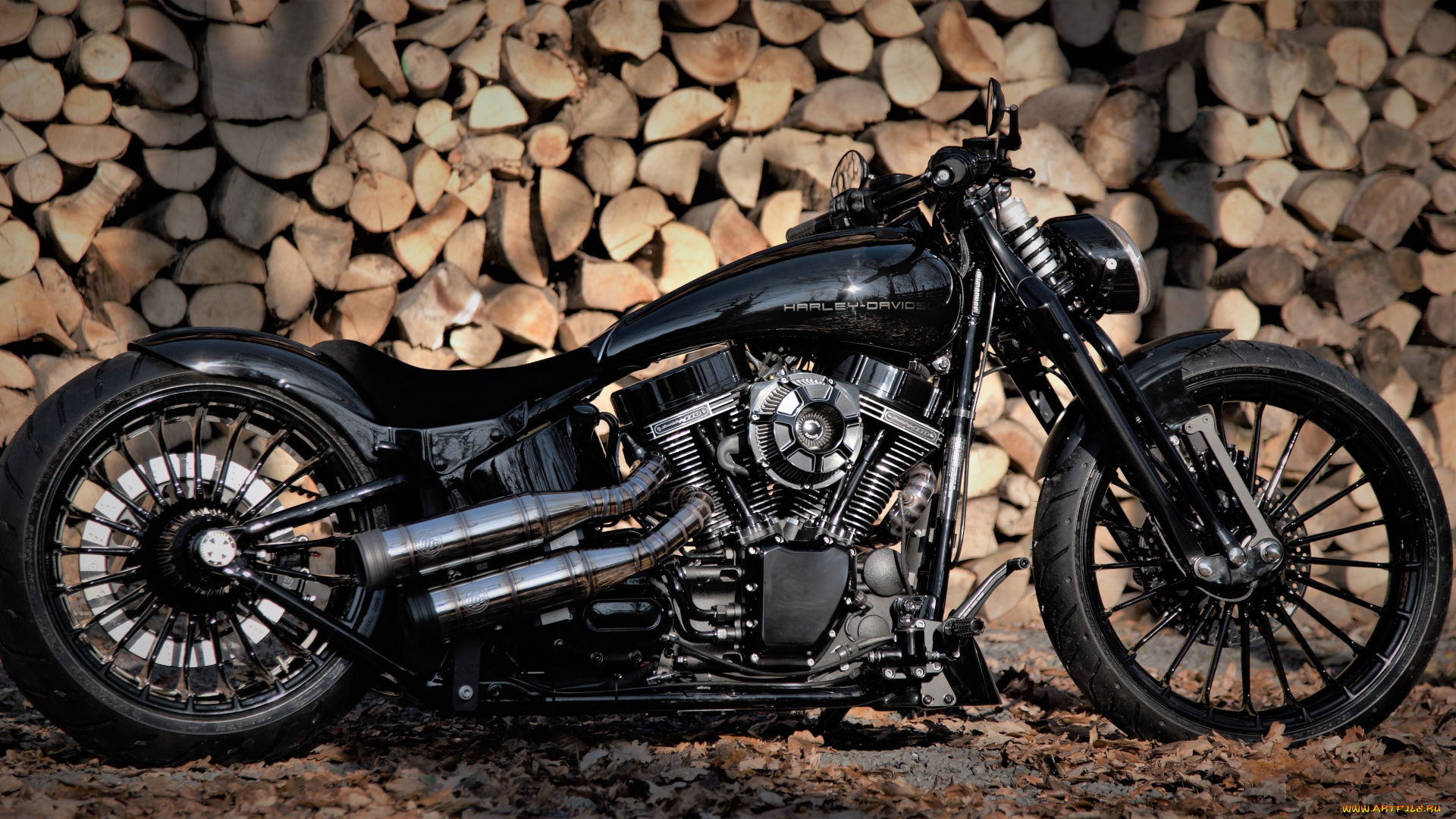 мотоцикл, мотоциклы, harley-davidson, байк, harley, davidson