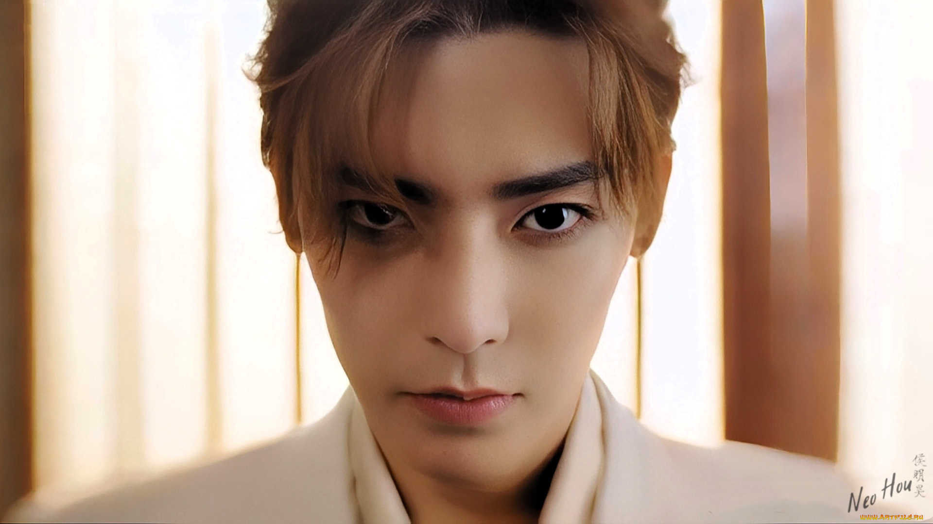 мужчины, hou, ming, hao, актер, лицо