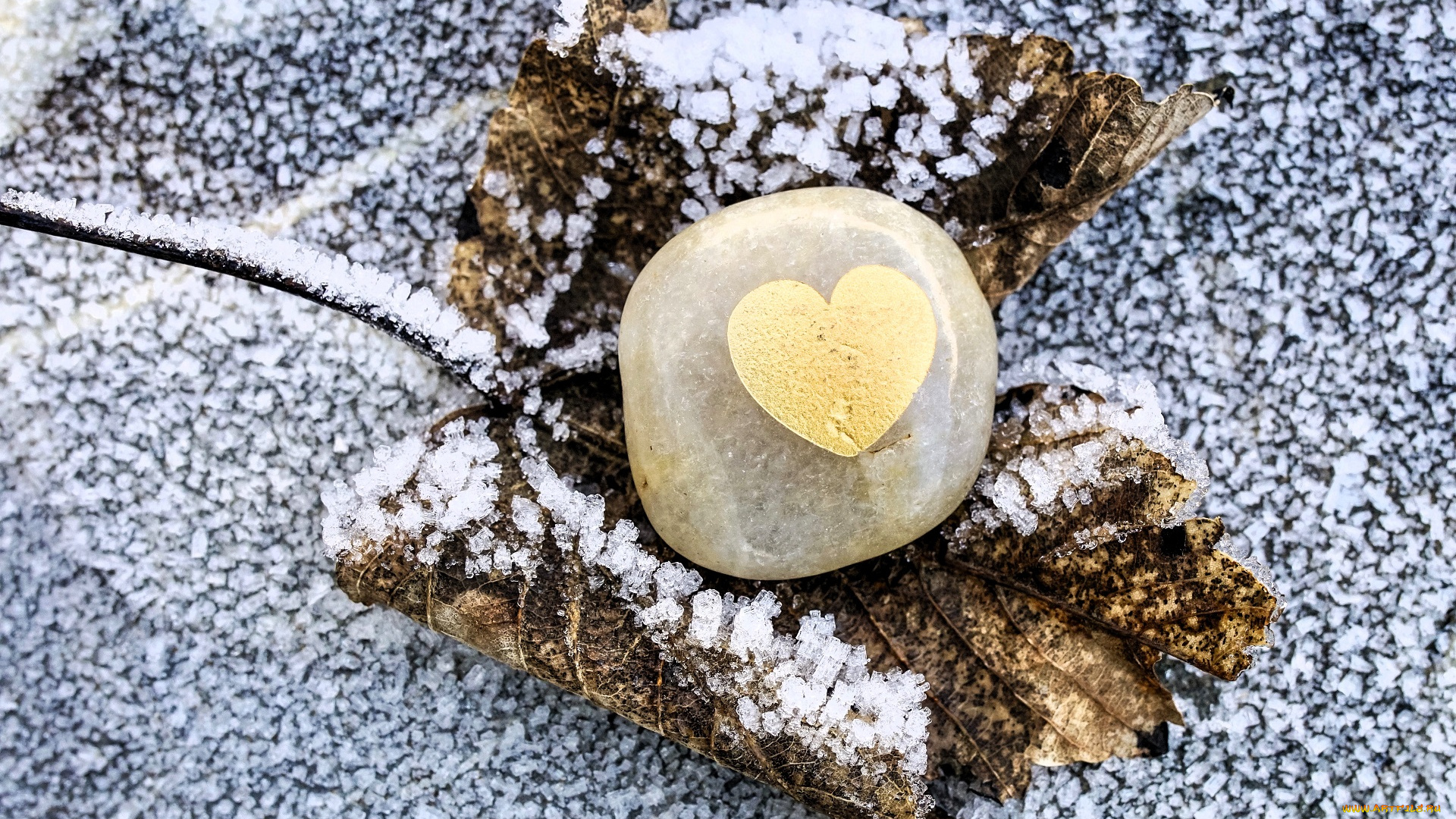 разное, ракушки, , кораллы, , декоративные, и, spa-камни, сердечко, камень, лист, иней