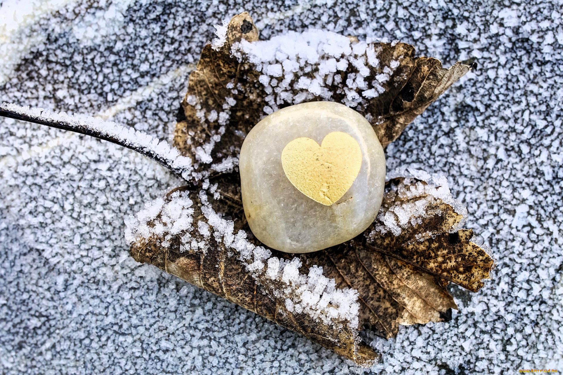 разное, ракушки, , кораллы, , декоративные, и, spa-камни, сердечко, камень, лист, иней