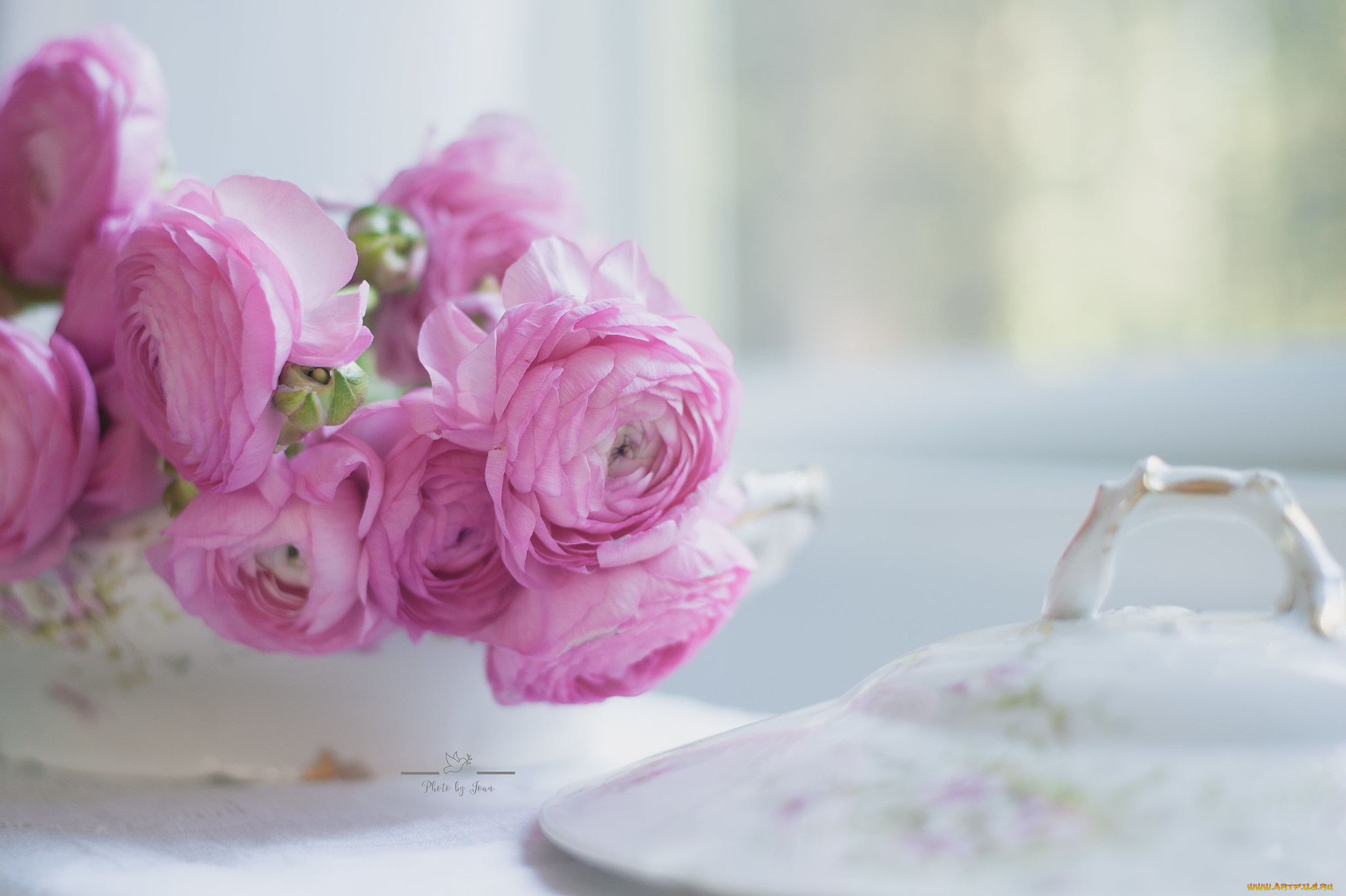 цветы, ранункулюс, , азиатский, лютик, люпин, цветок, ваза, букет