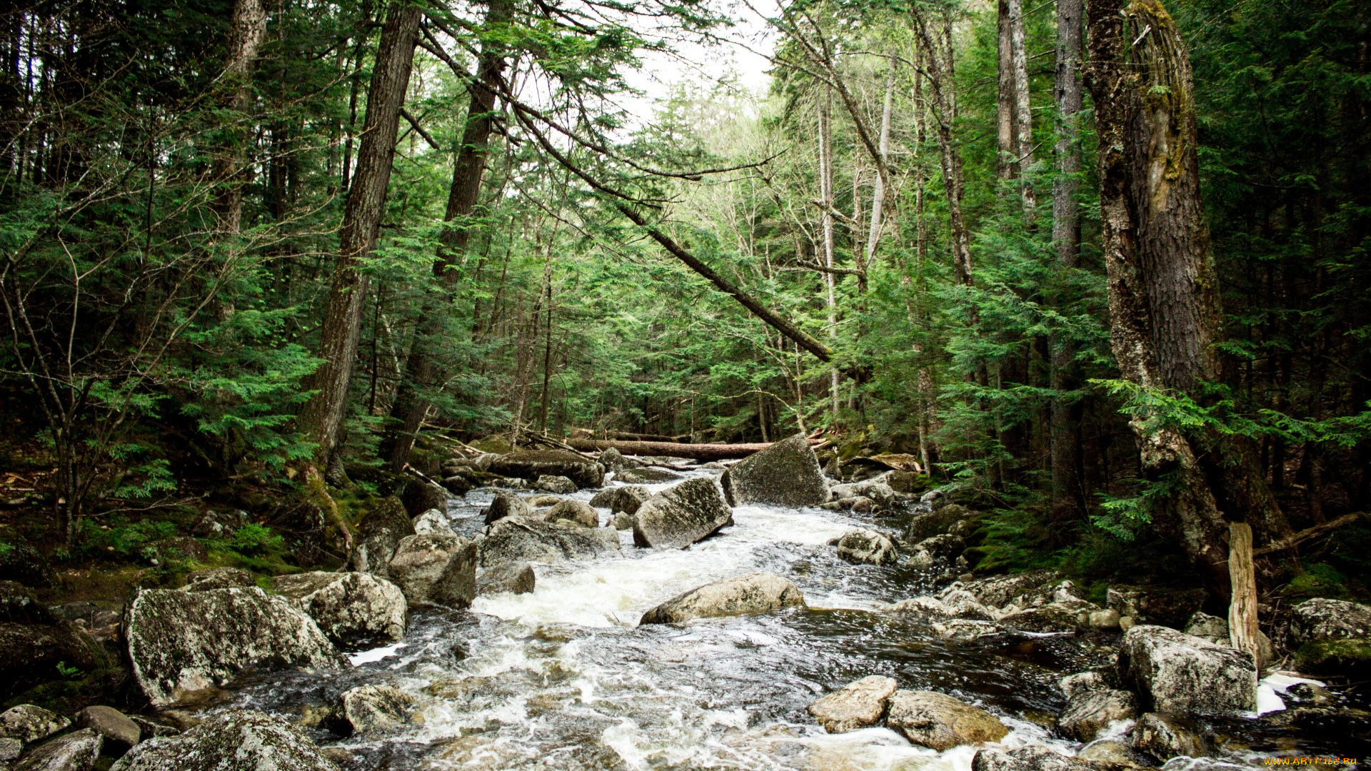 природа, радуга, река, камни, лес