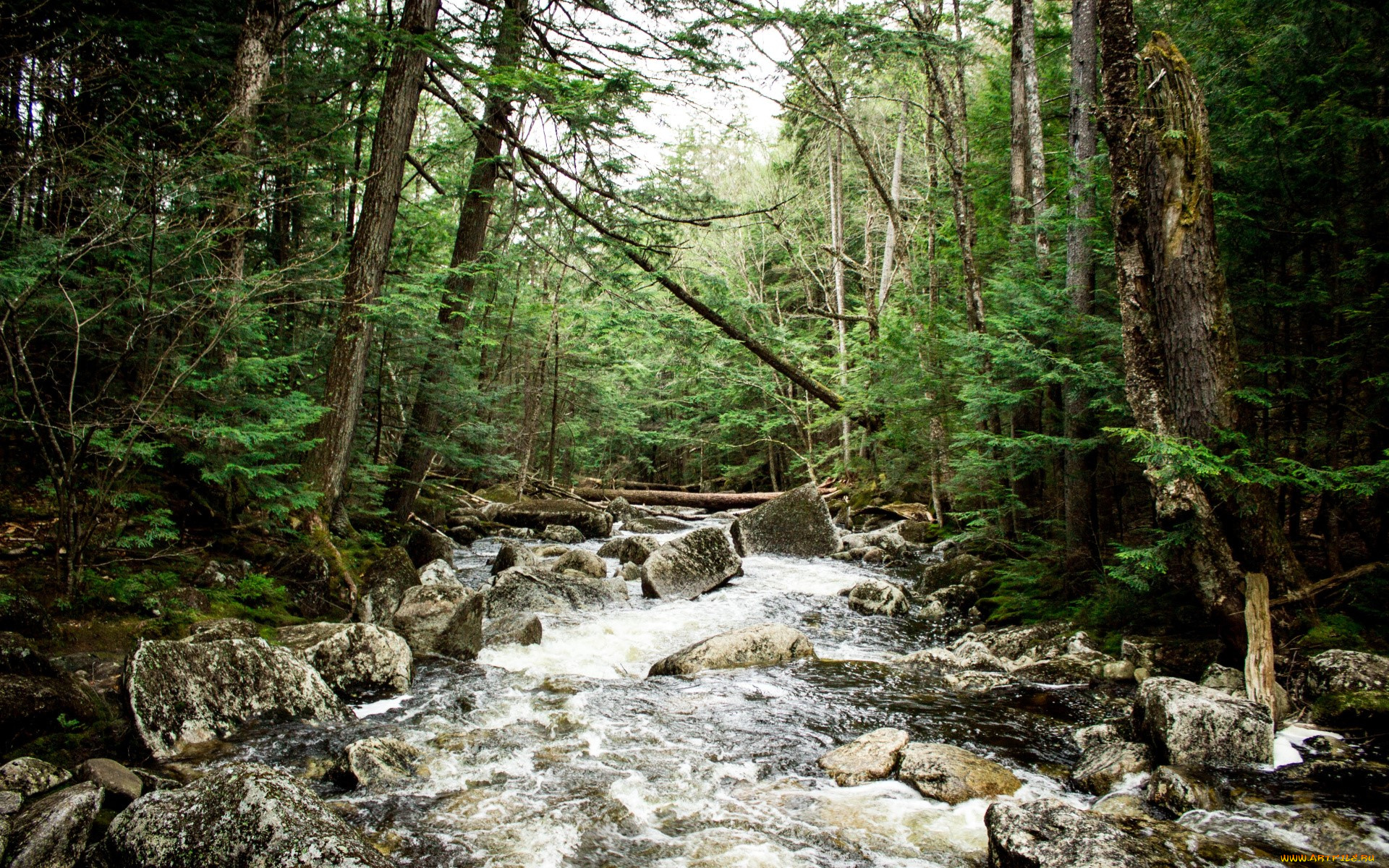 природа, радуга, река, камни, лес