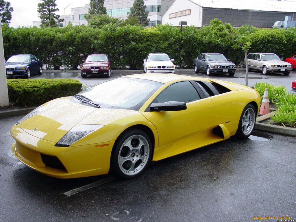 lamborghini, murcielago, автомобили, выставки, уличные, фото