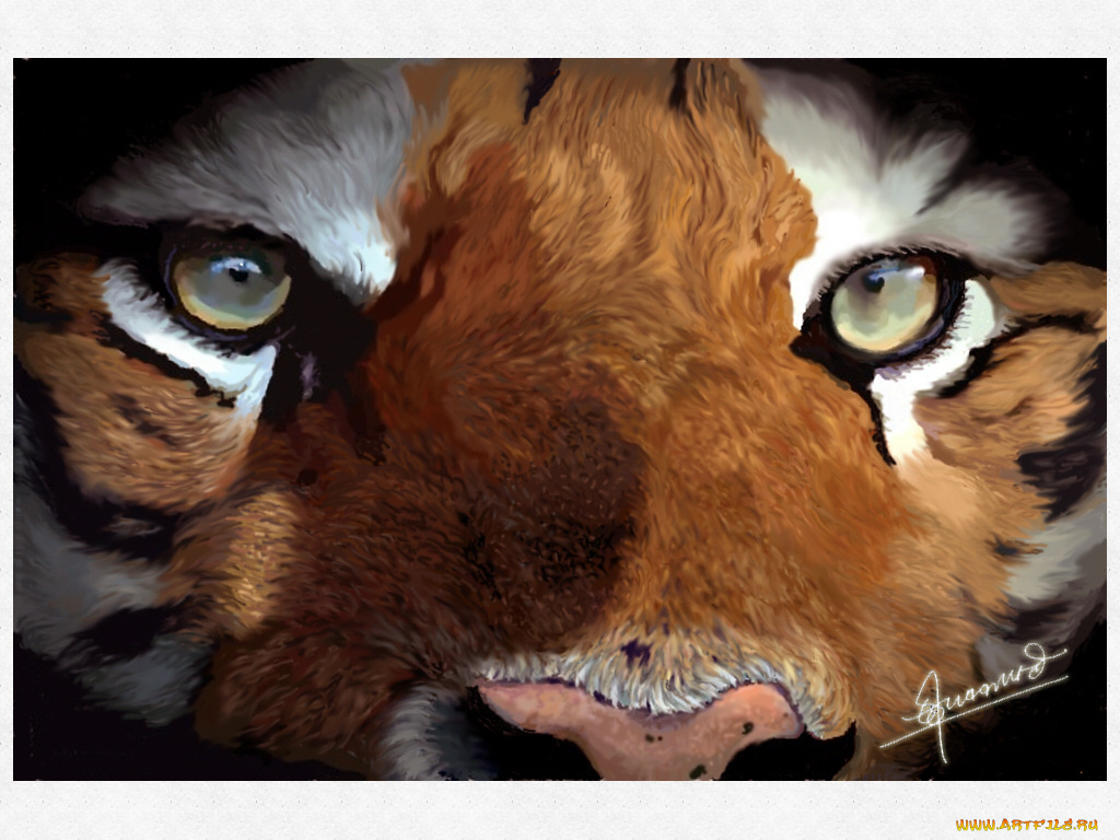 рисованные, животные, тигры