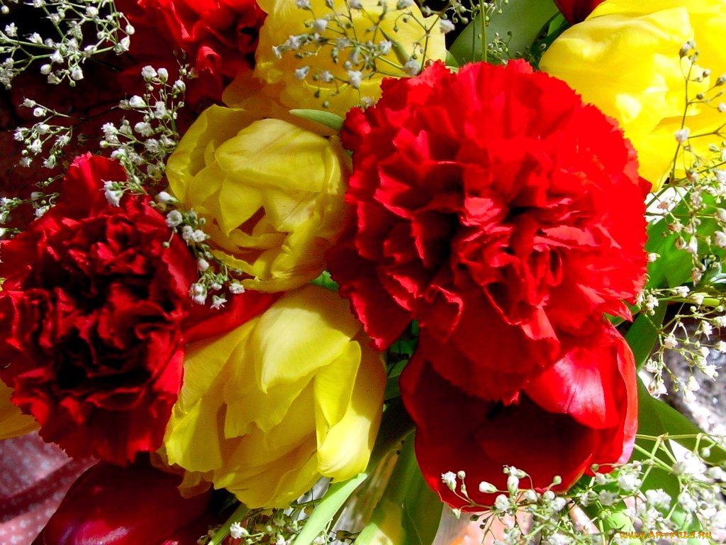 цветы, разные, вместе