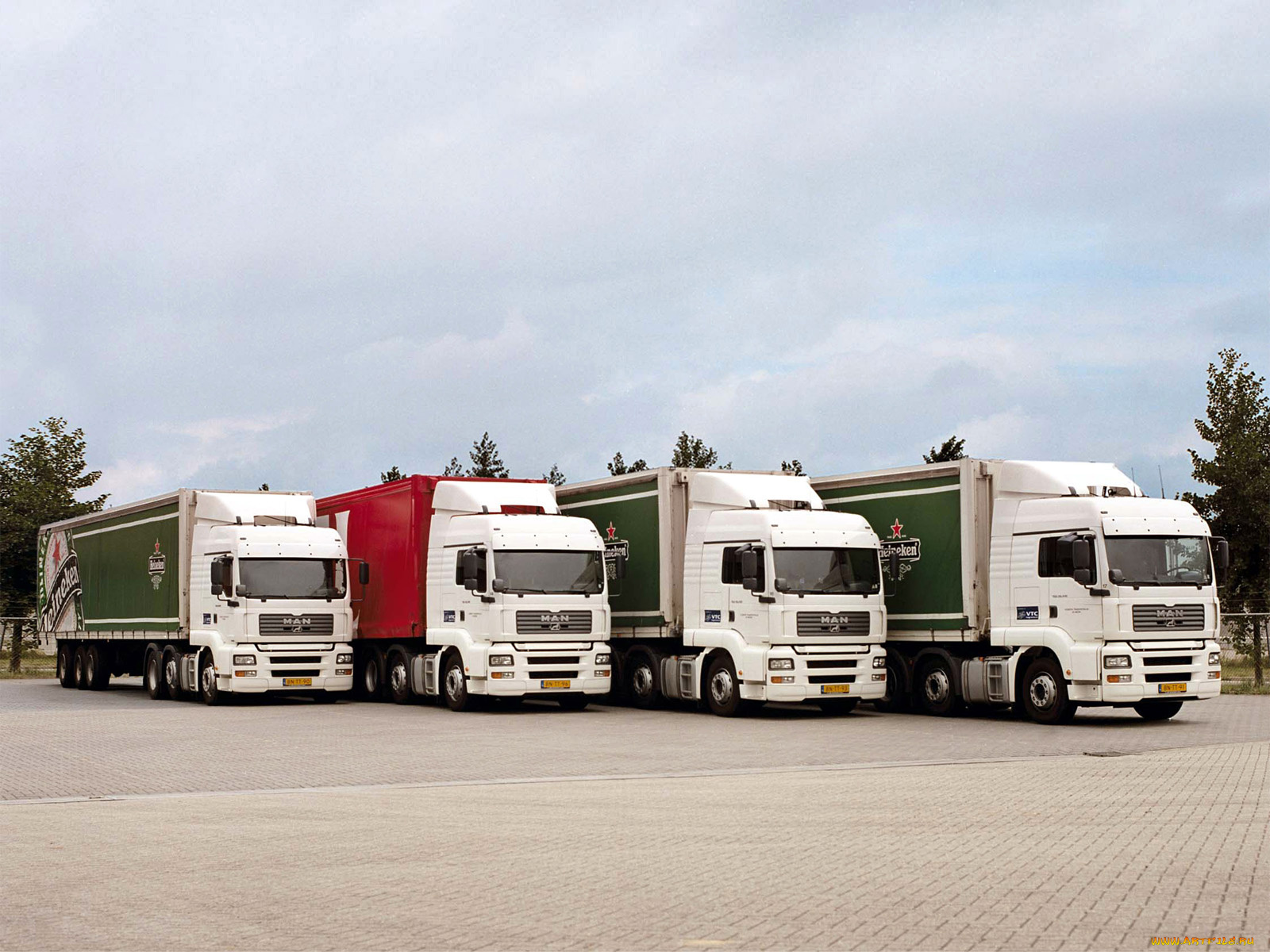 man, tga, автомобили