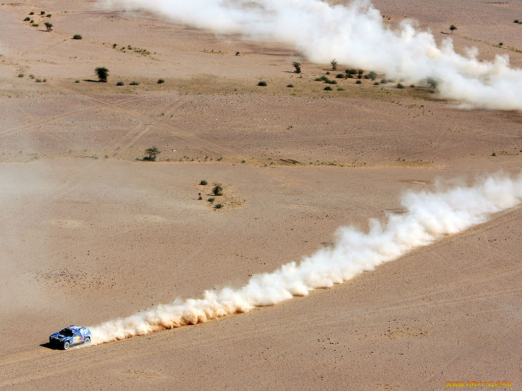 спорт, авторалли