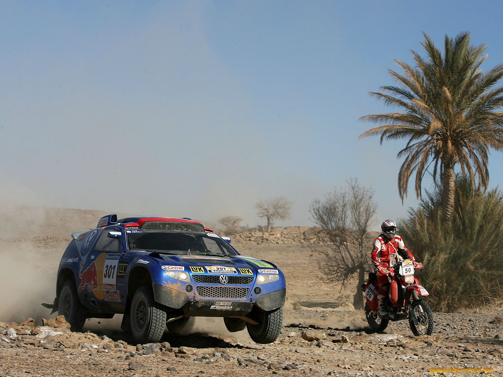 спорт, авторалли